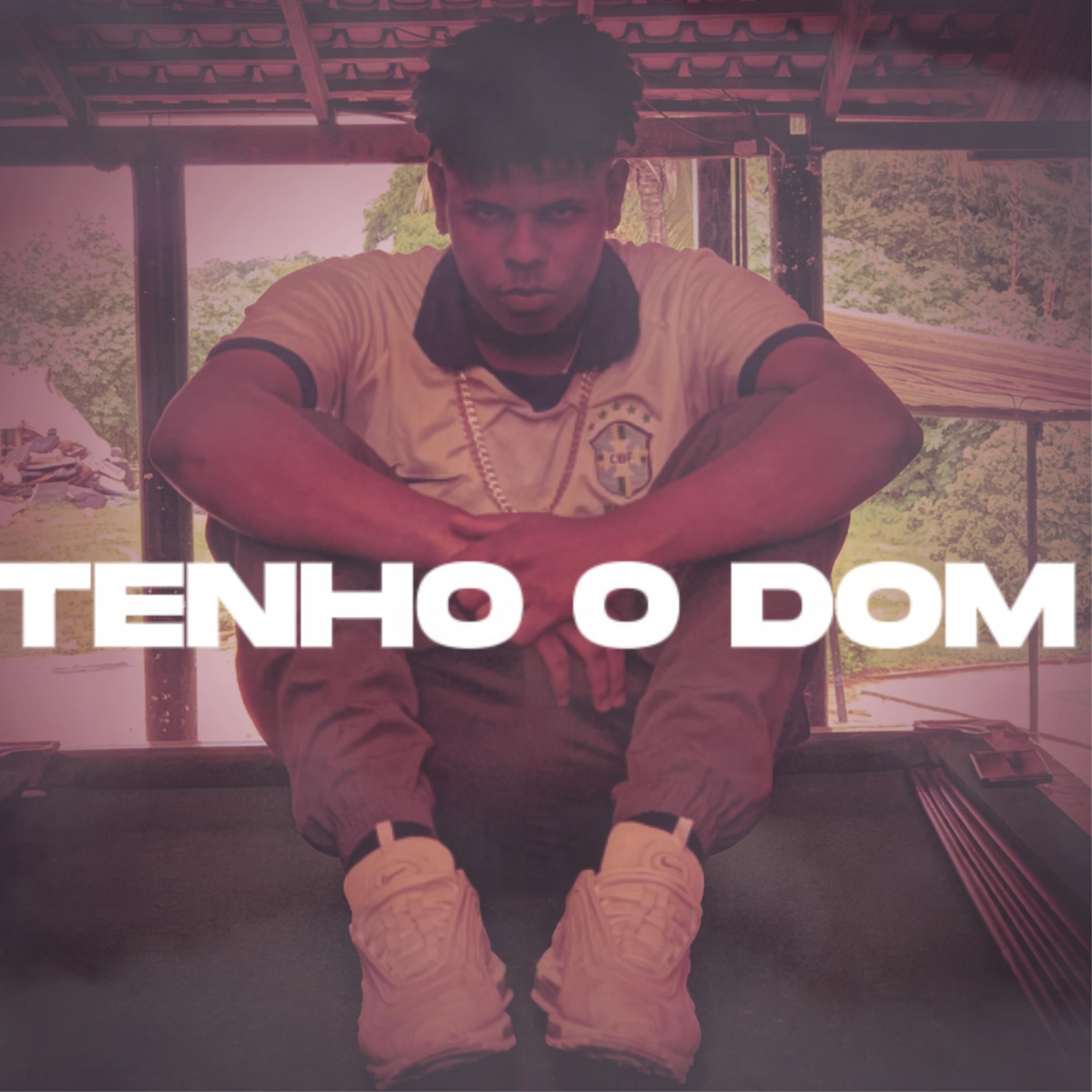 Постер альбома Tenho o Dom