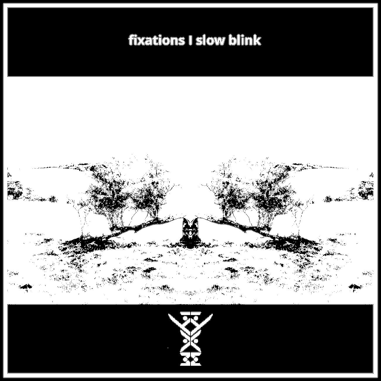 Постер альбома Fixations / Slow Blink