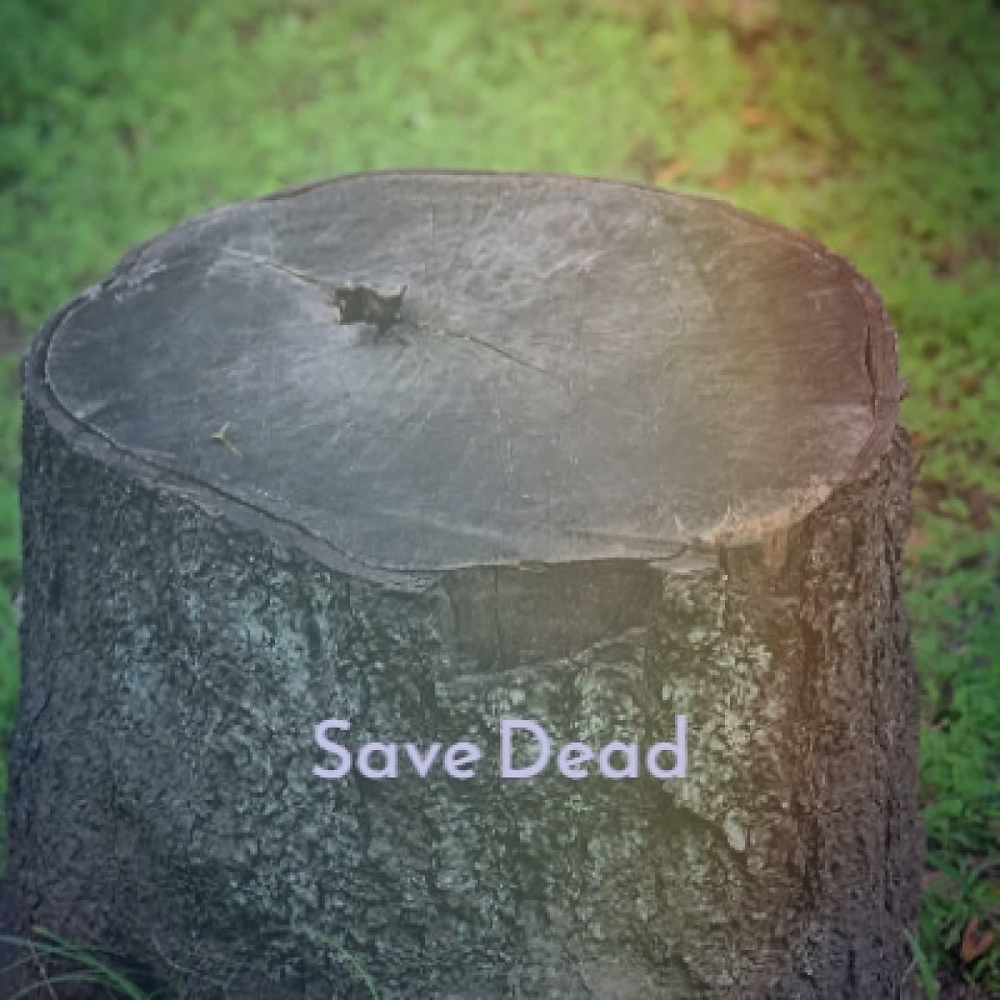 Постер альбома Save Dead