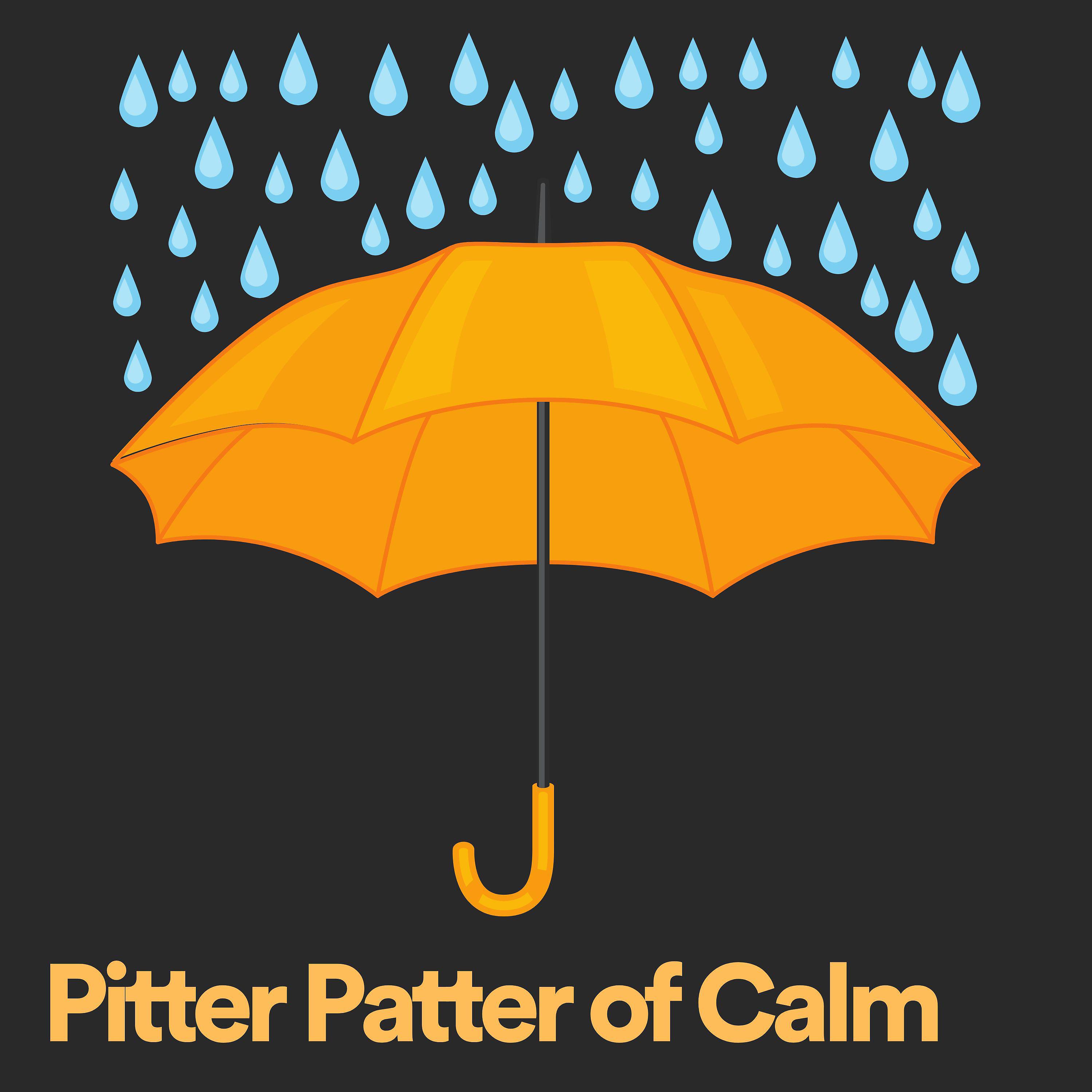 Постер альбома Pitter Patter of Calm