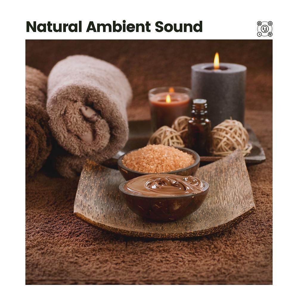 Постер альбома Natural Ambient Sound