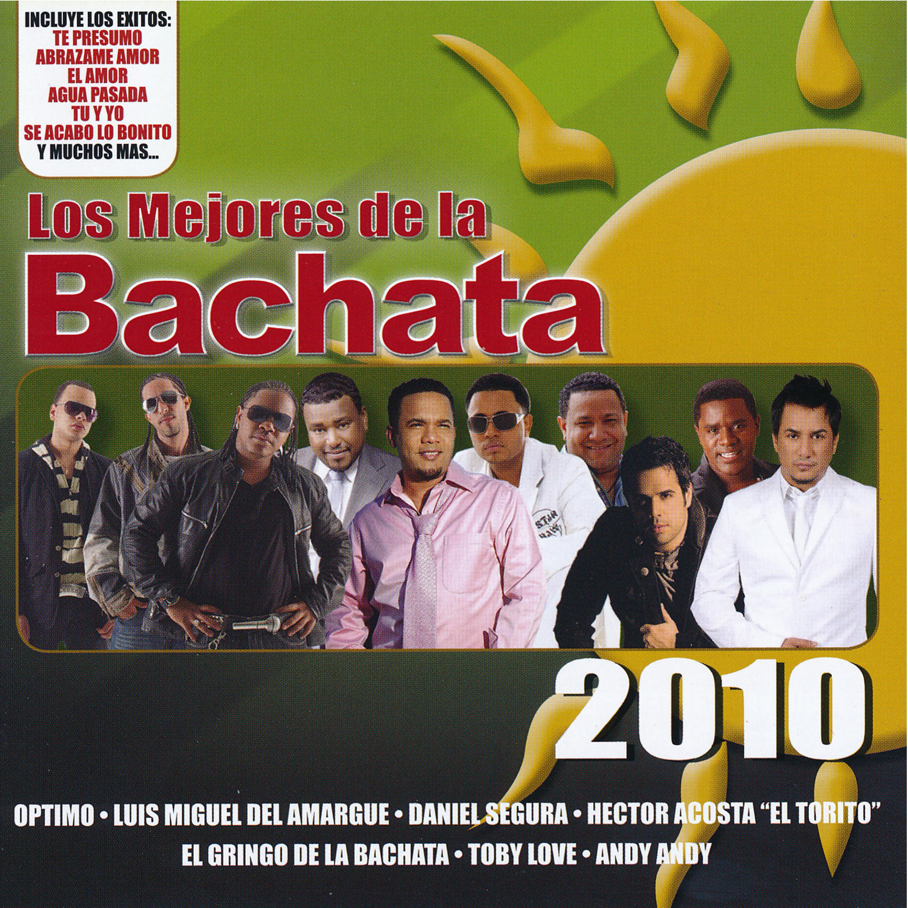 Постер альбома Los Mejores de la Bachata 2010