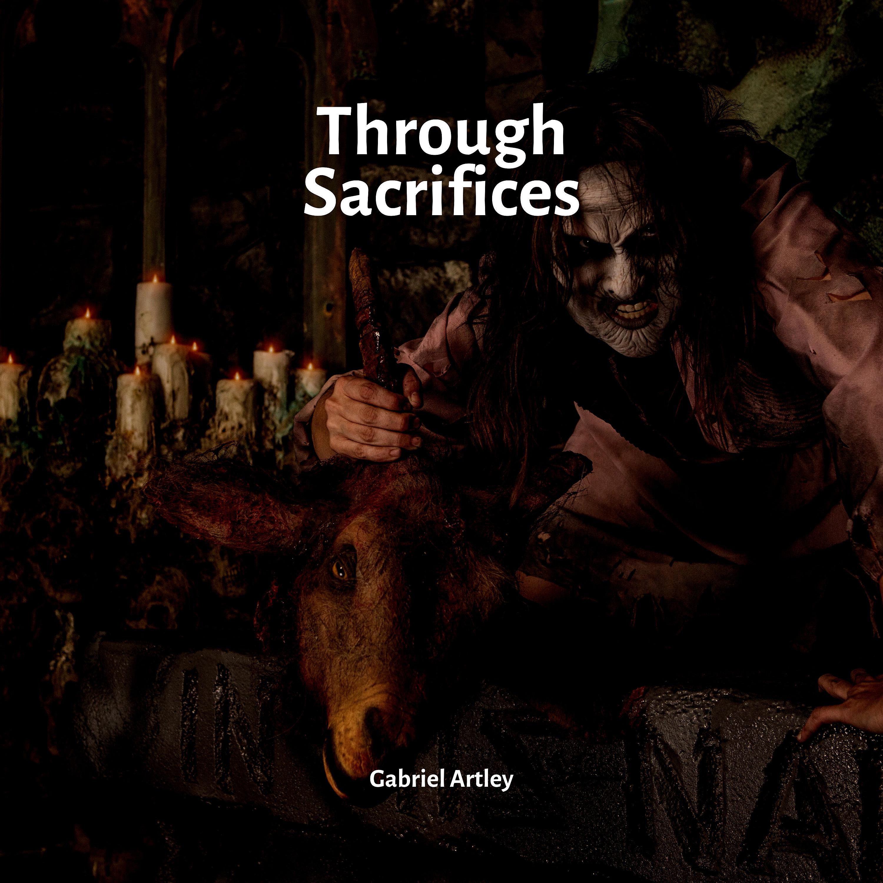 Постер альбома Through Sacrifices