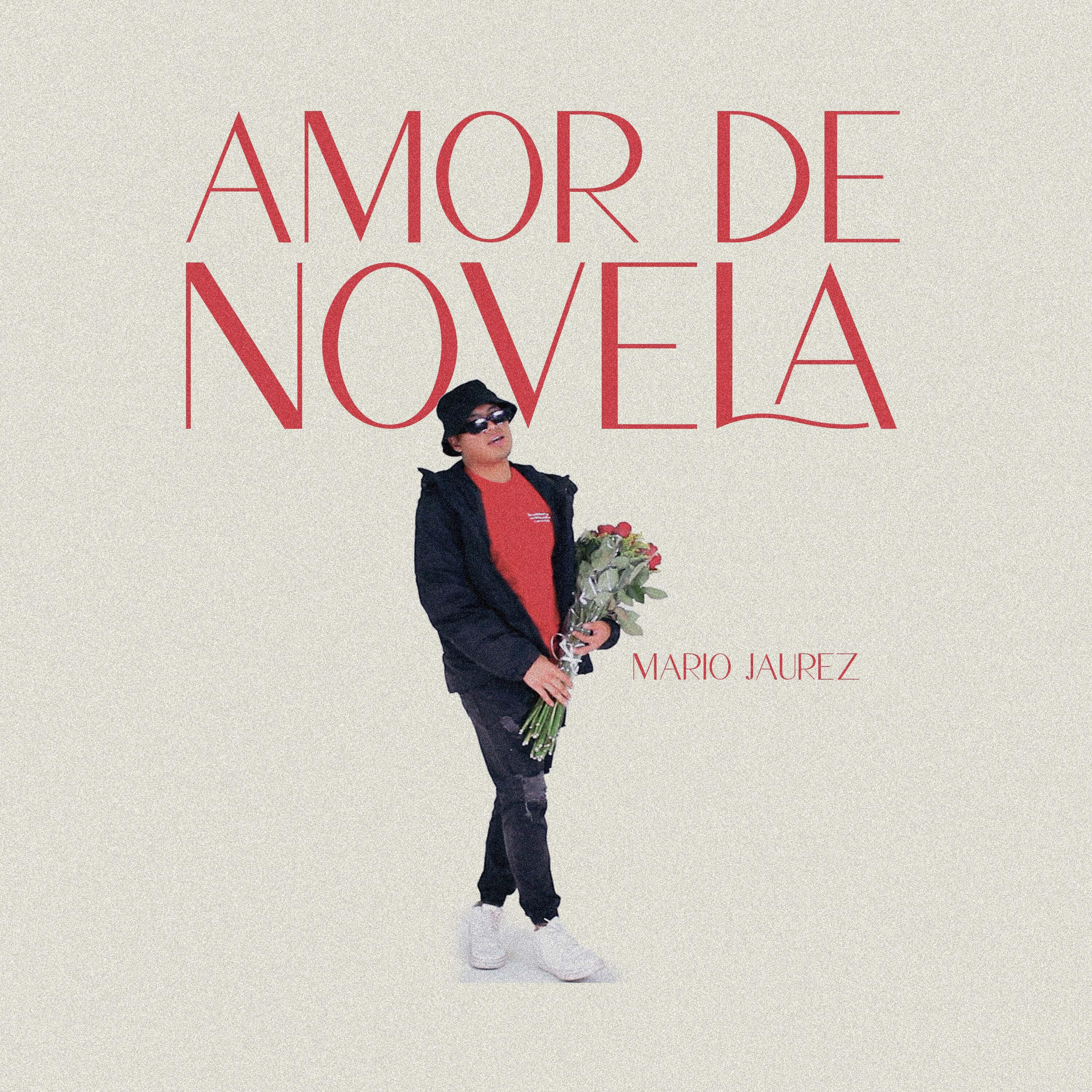 Постер альбома Amor de Novela