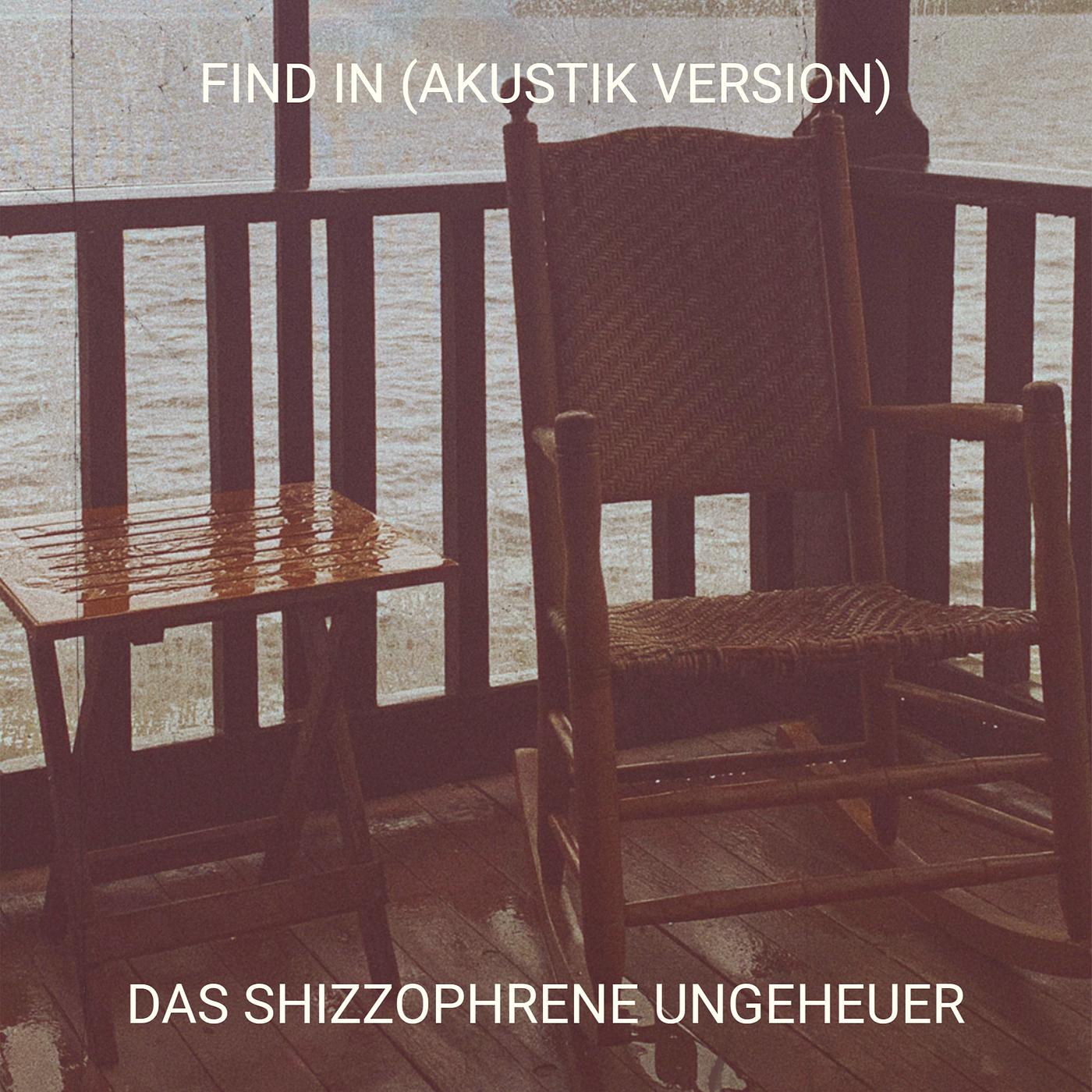 Постер альбома Find in (Akustik Version)