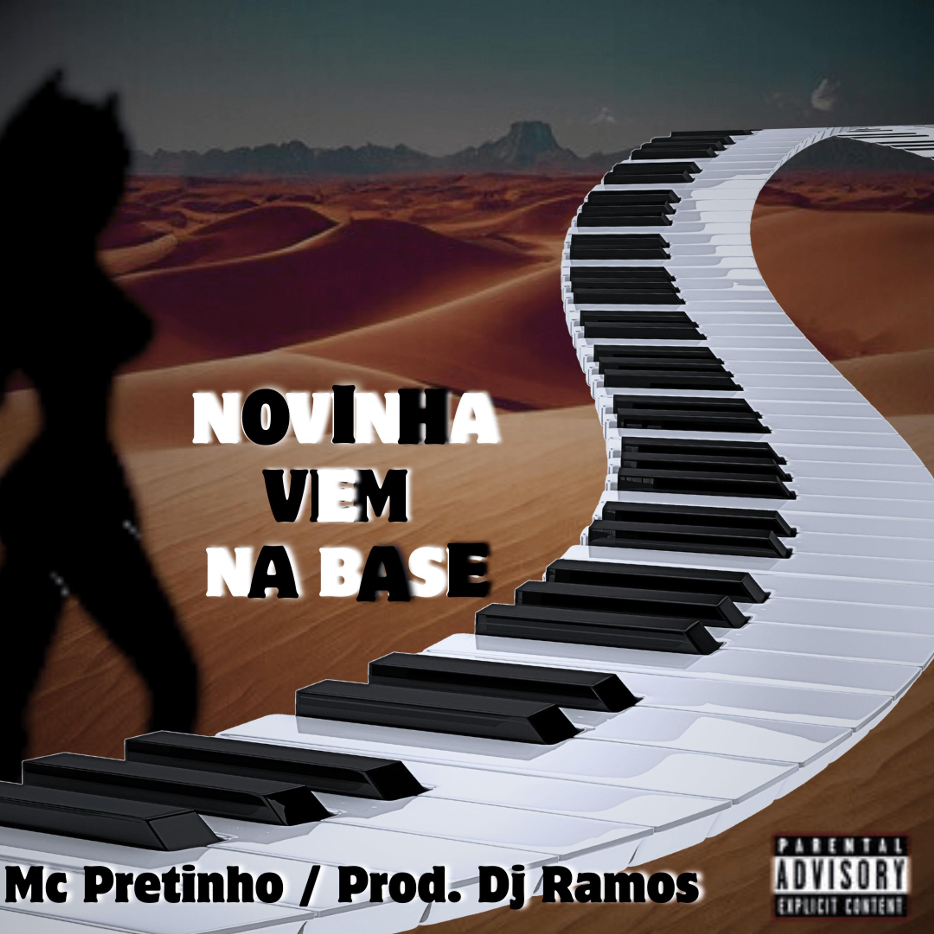Постер альбома Novinha Vem na Base