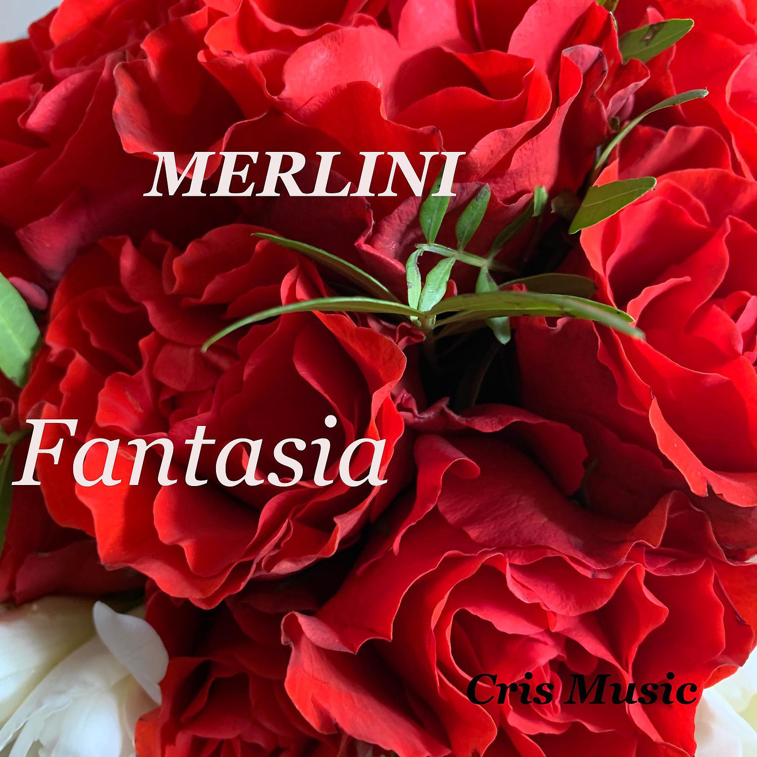 Постер альбома Merlini: Fantasia