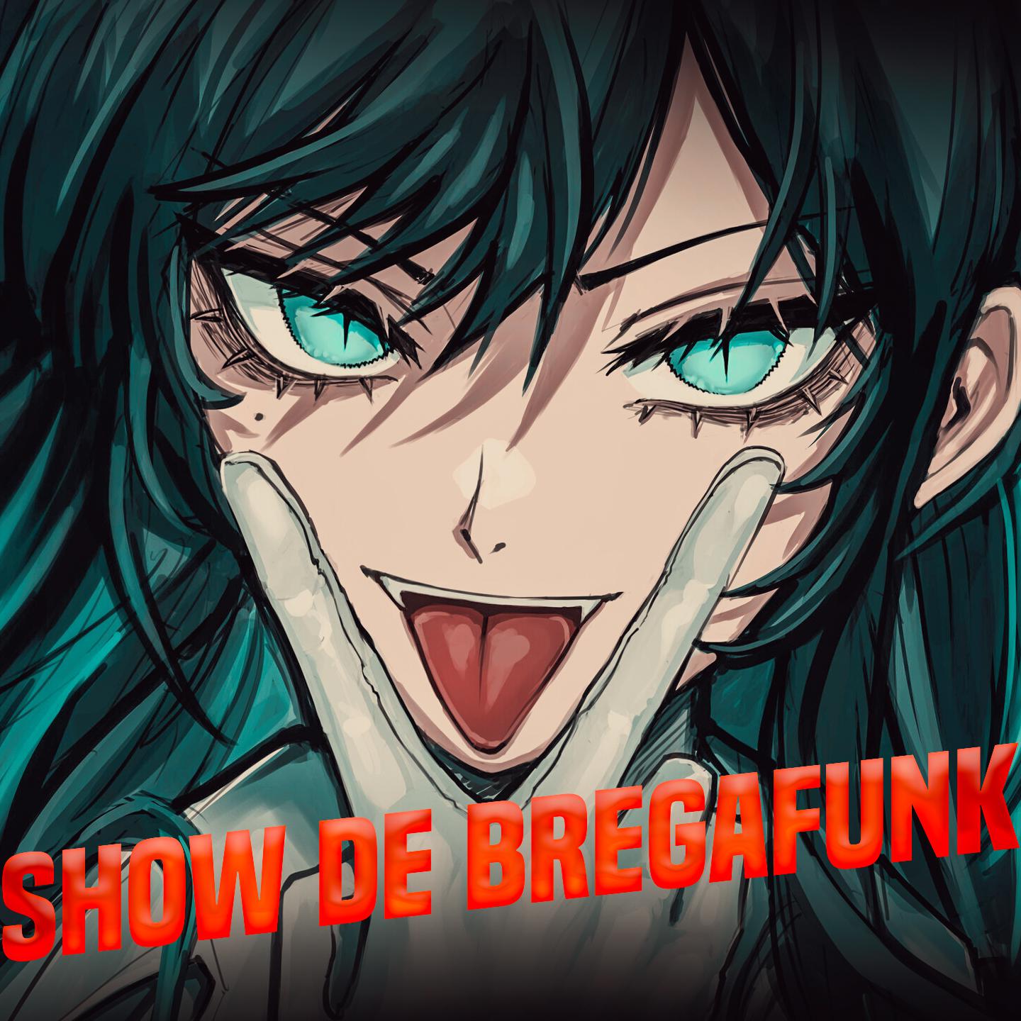 Постер альбома Show de Bregafunk