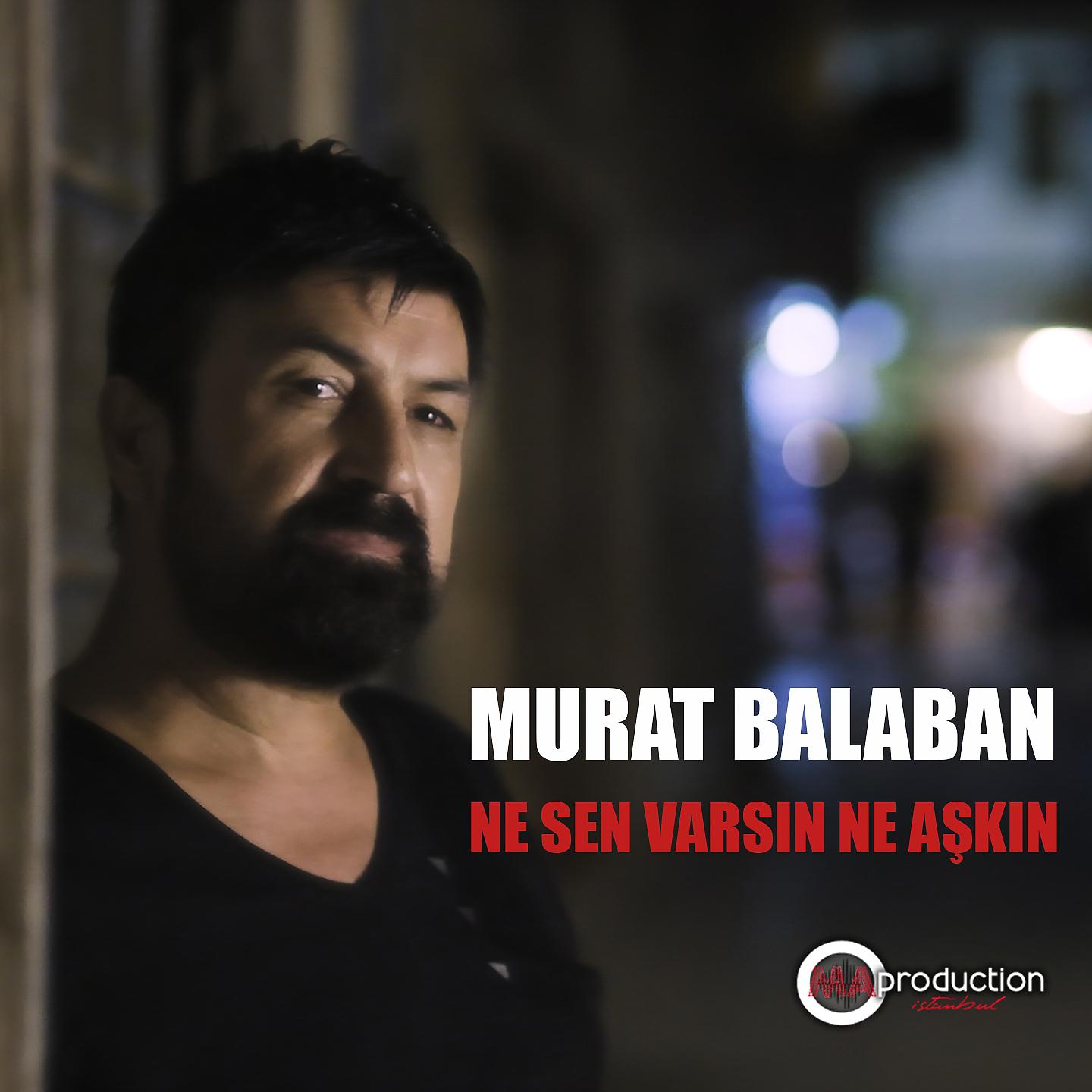 Постер альбома Ne Sen Varsın Ne Aşkın