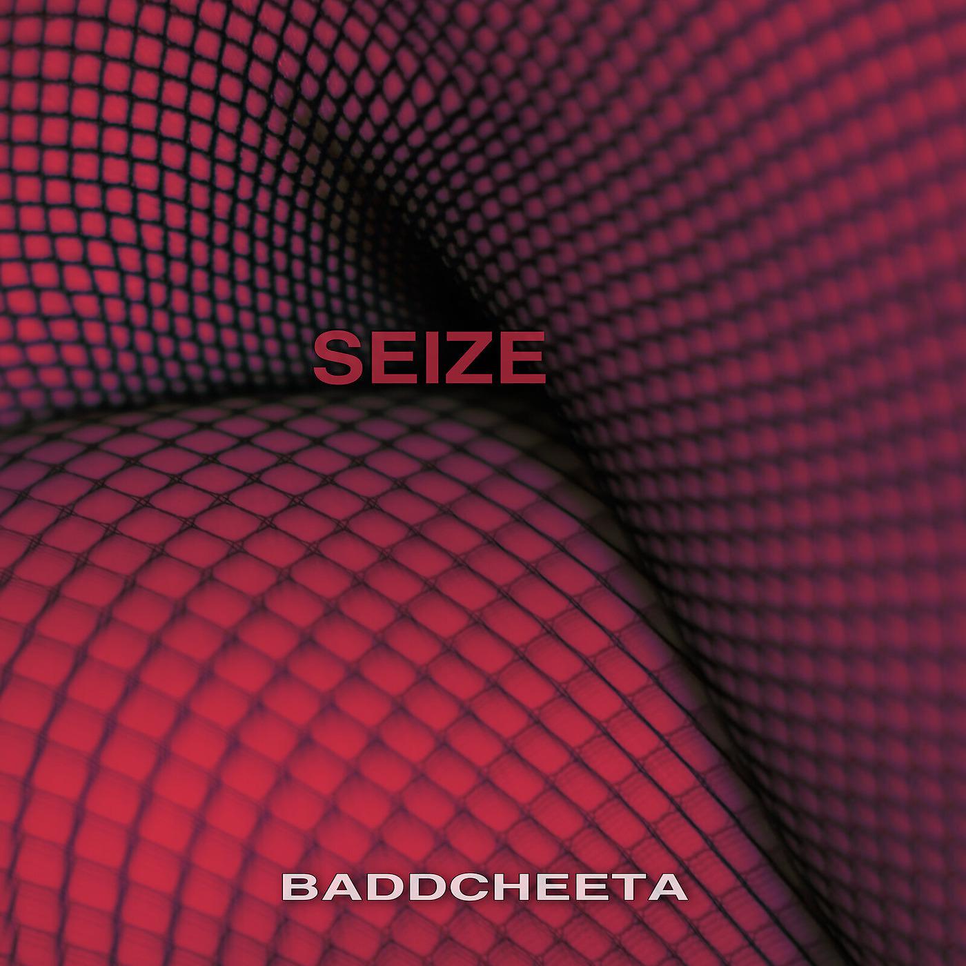 Постер альбома Seize
