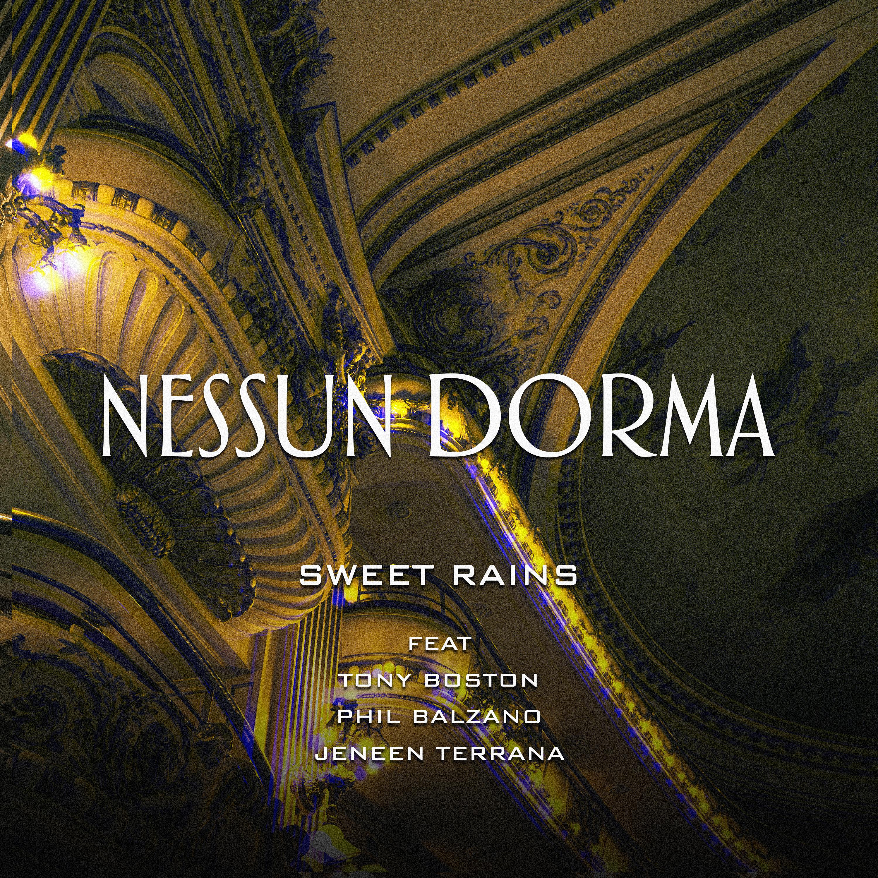 Постер альбома Nessun Dorma feat.Tony Boston, Phil Balzano, Jeneen Terrana ( Radio Edit)