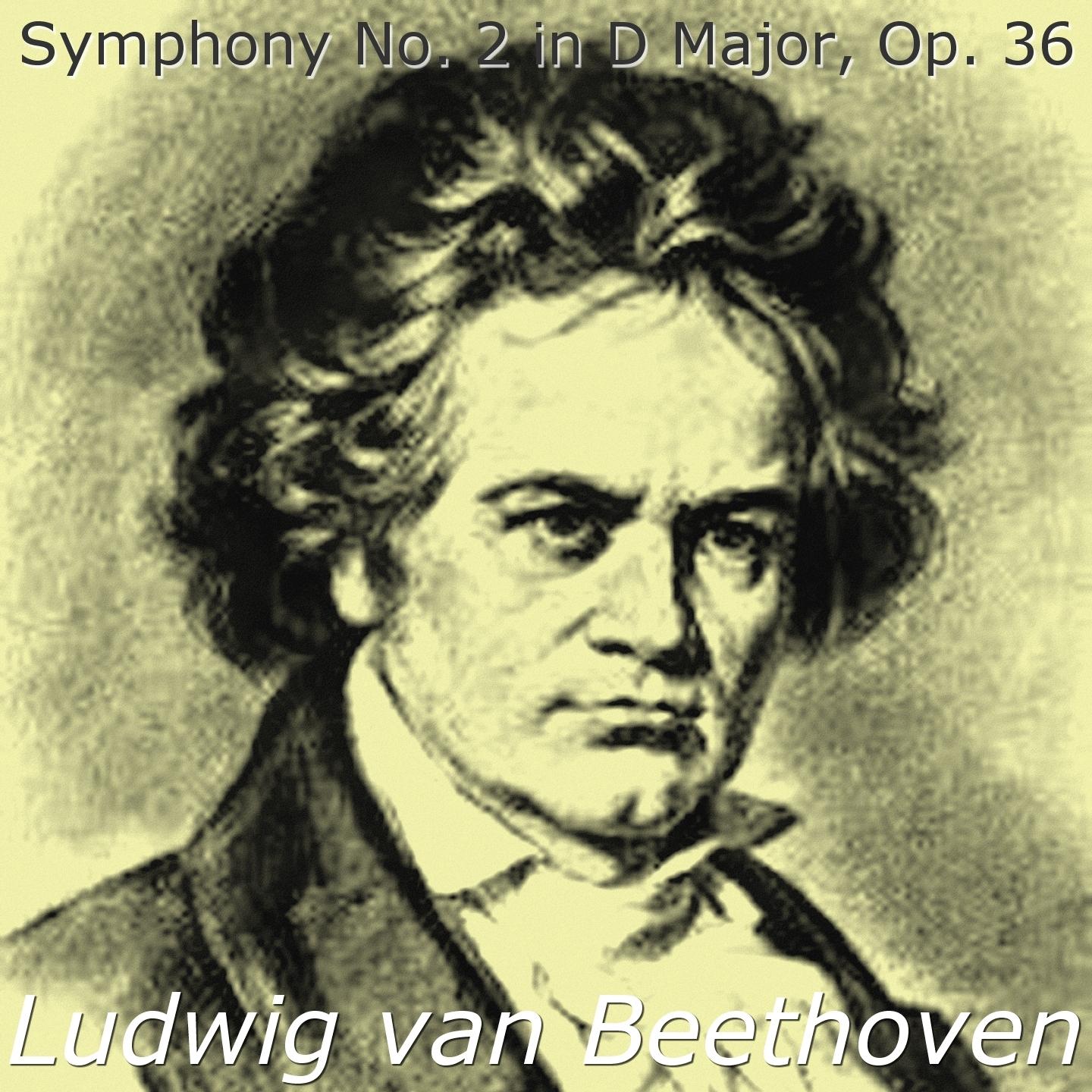 Постер альбома Ludwig van Beethoven: Symphony No. 2 in D Major, Op. 36