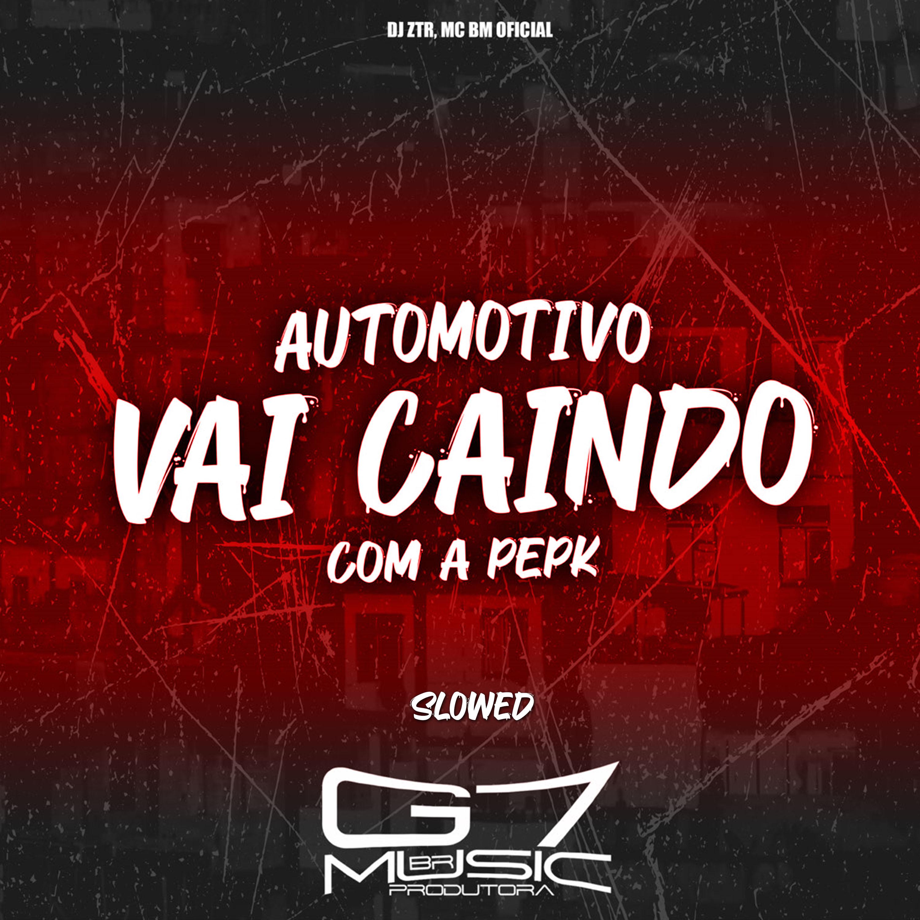 Постер альбома Automotivo Vai Caindo Com a Pepk - Slowed