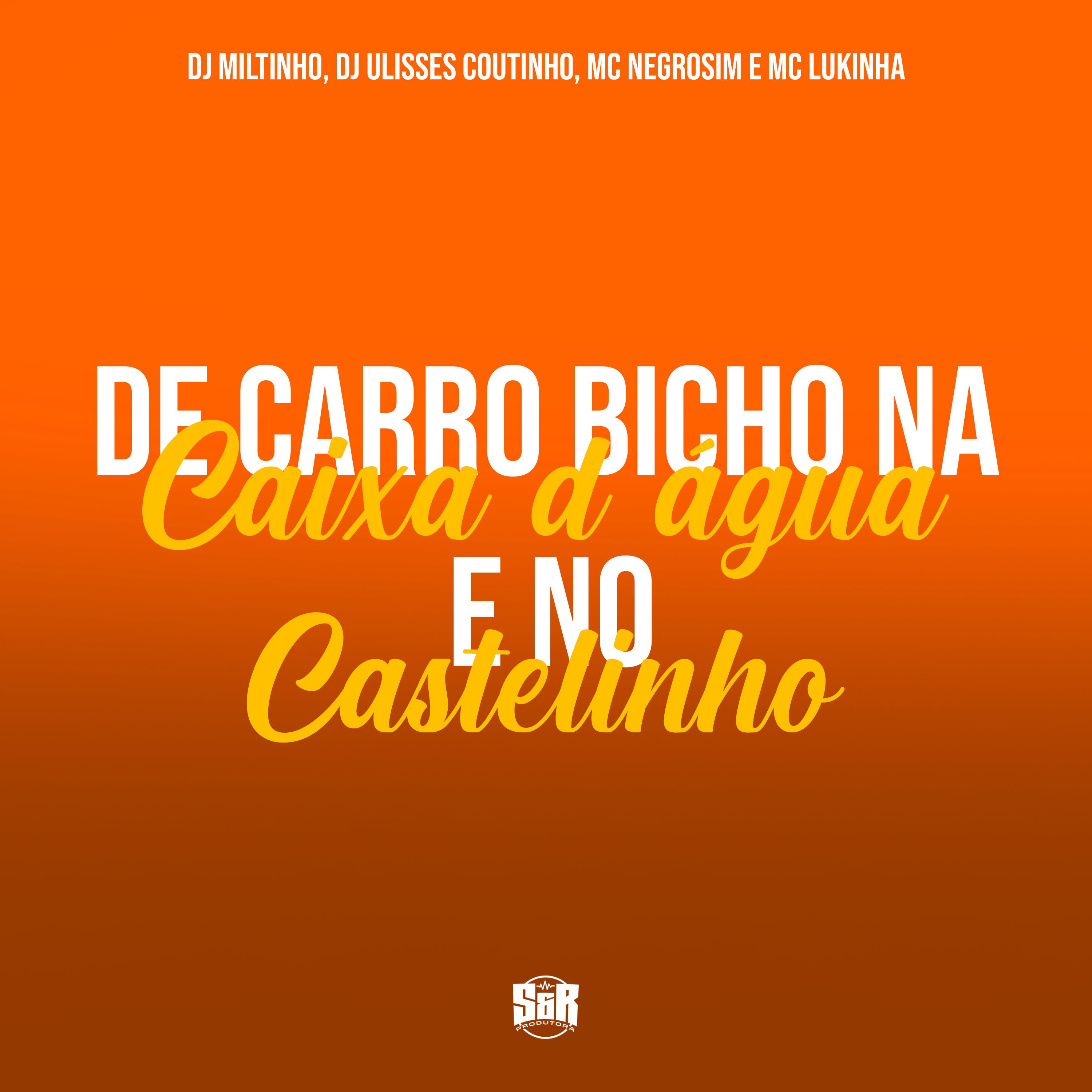 Постер альбома De Carro Bicho na Caixa D'agua e no Castelinho
