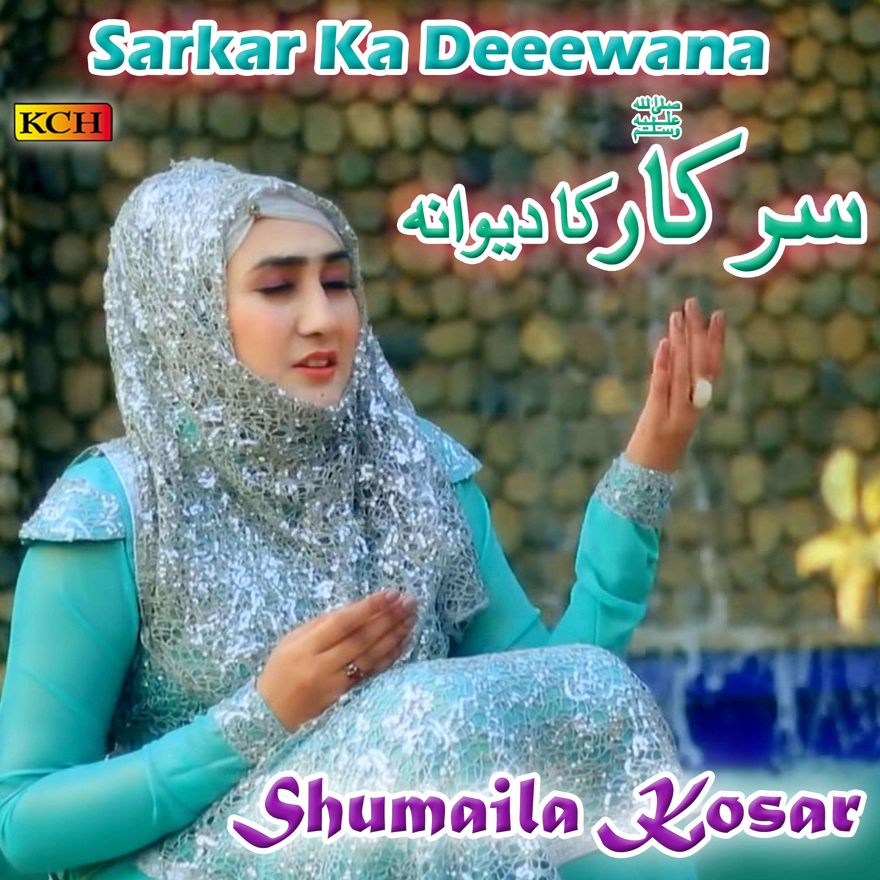 Постер альбома Sarkar Ka Deeewana