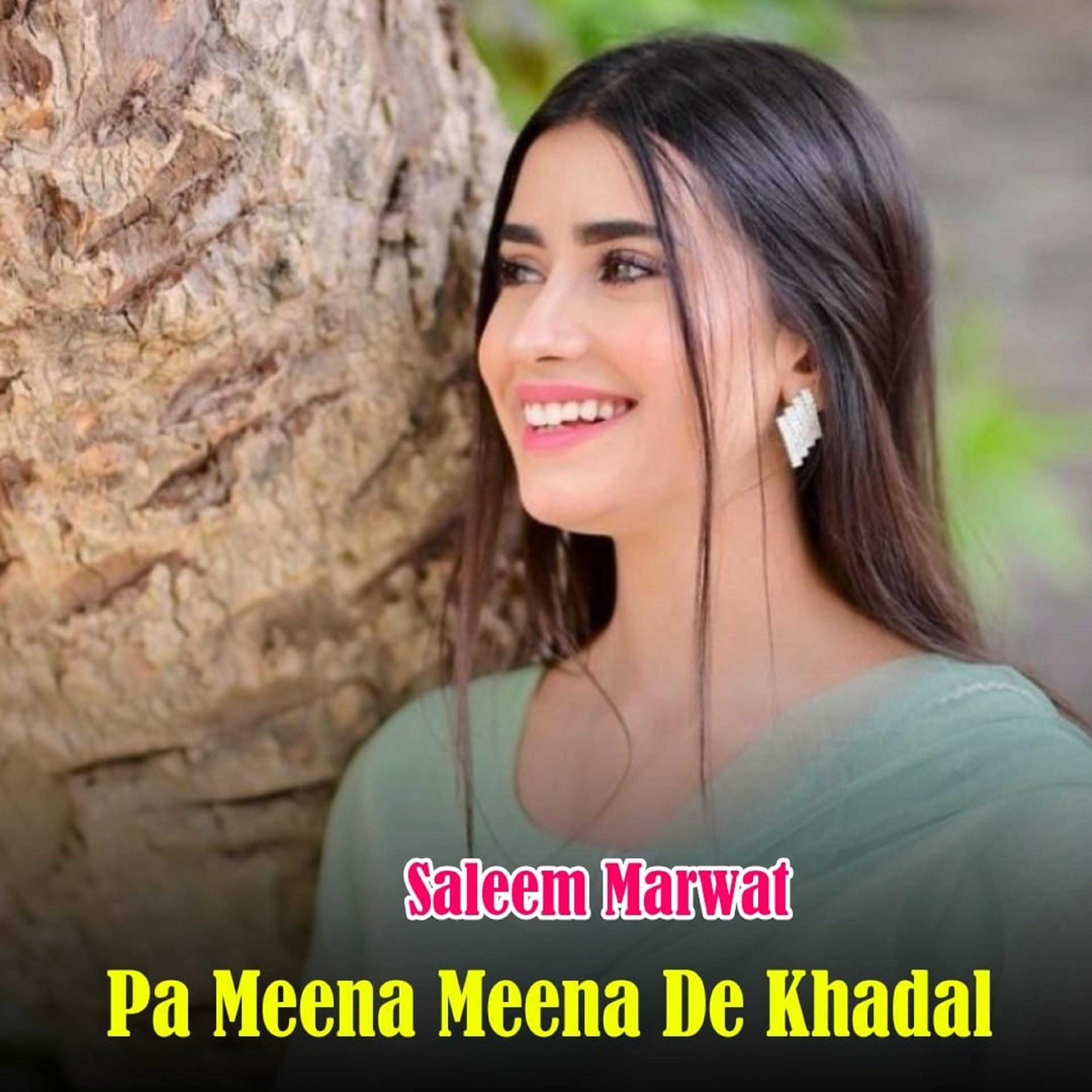 Постер альбома Pa Meena Meena De Khandal Zama Khwaga Janana