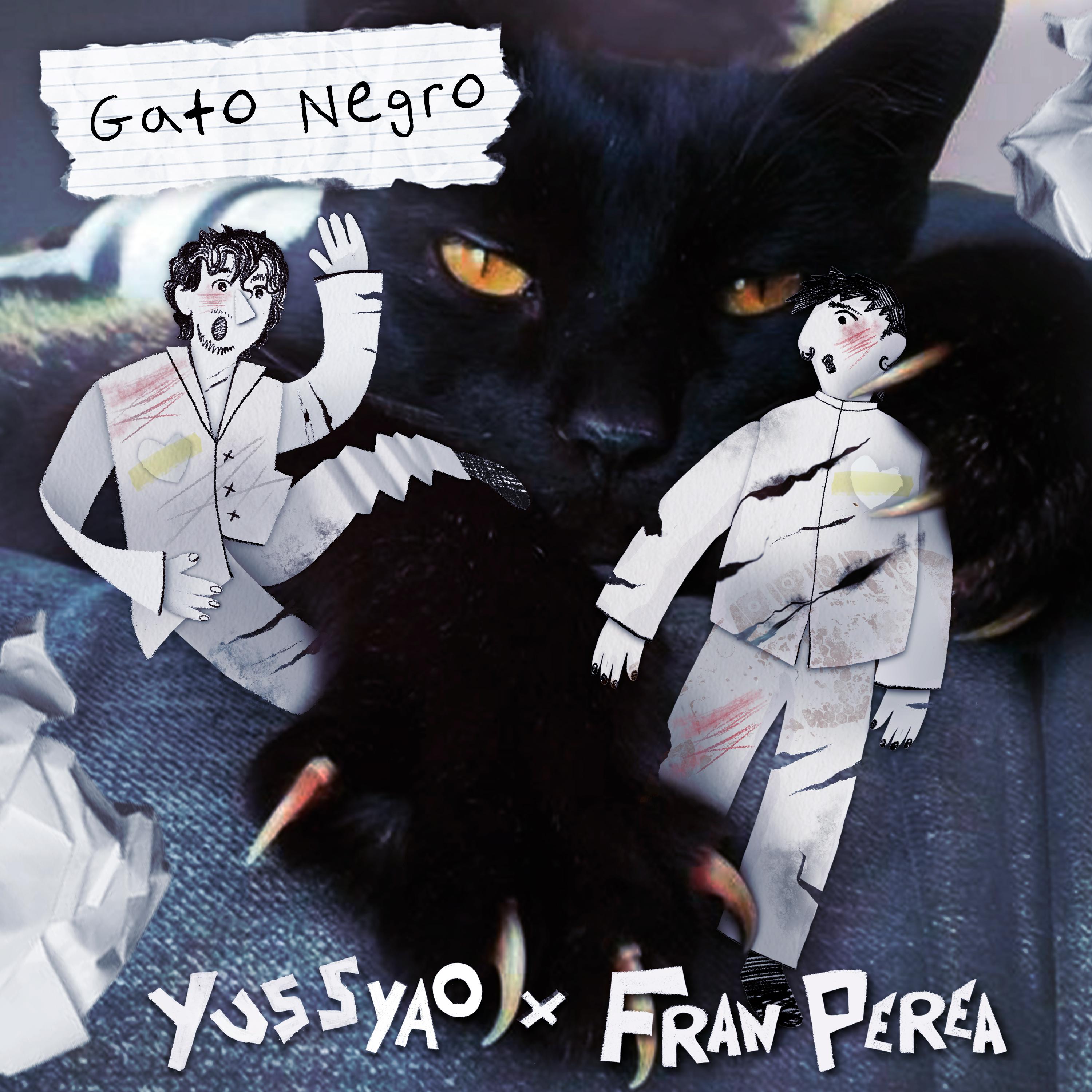 Постер альбома Gato negro