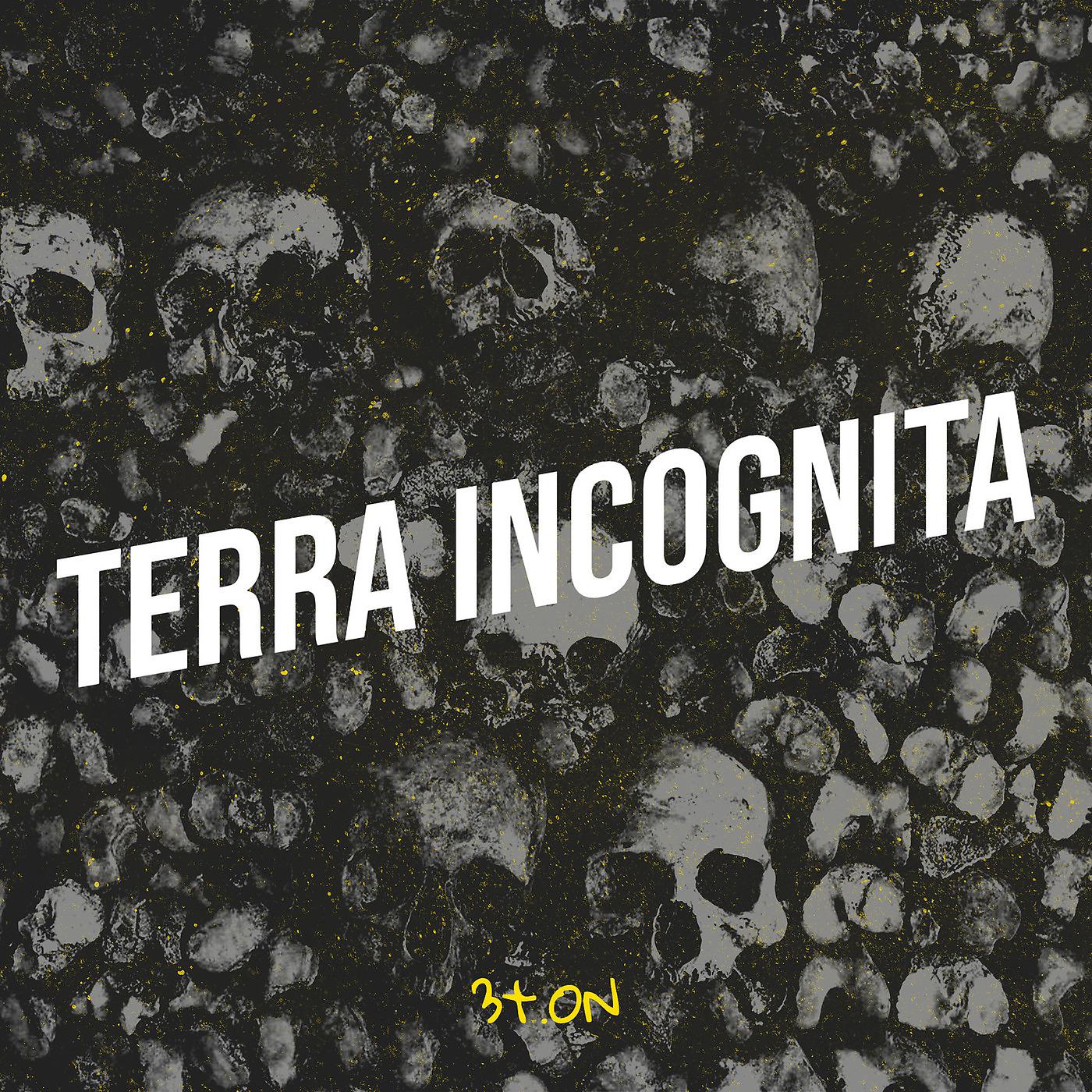 Постер альбома Terra Incognita