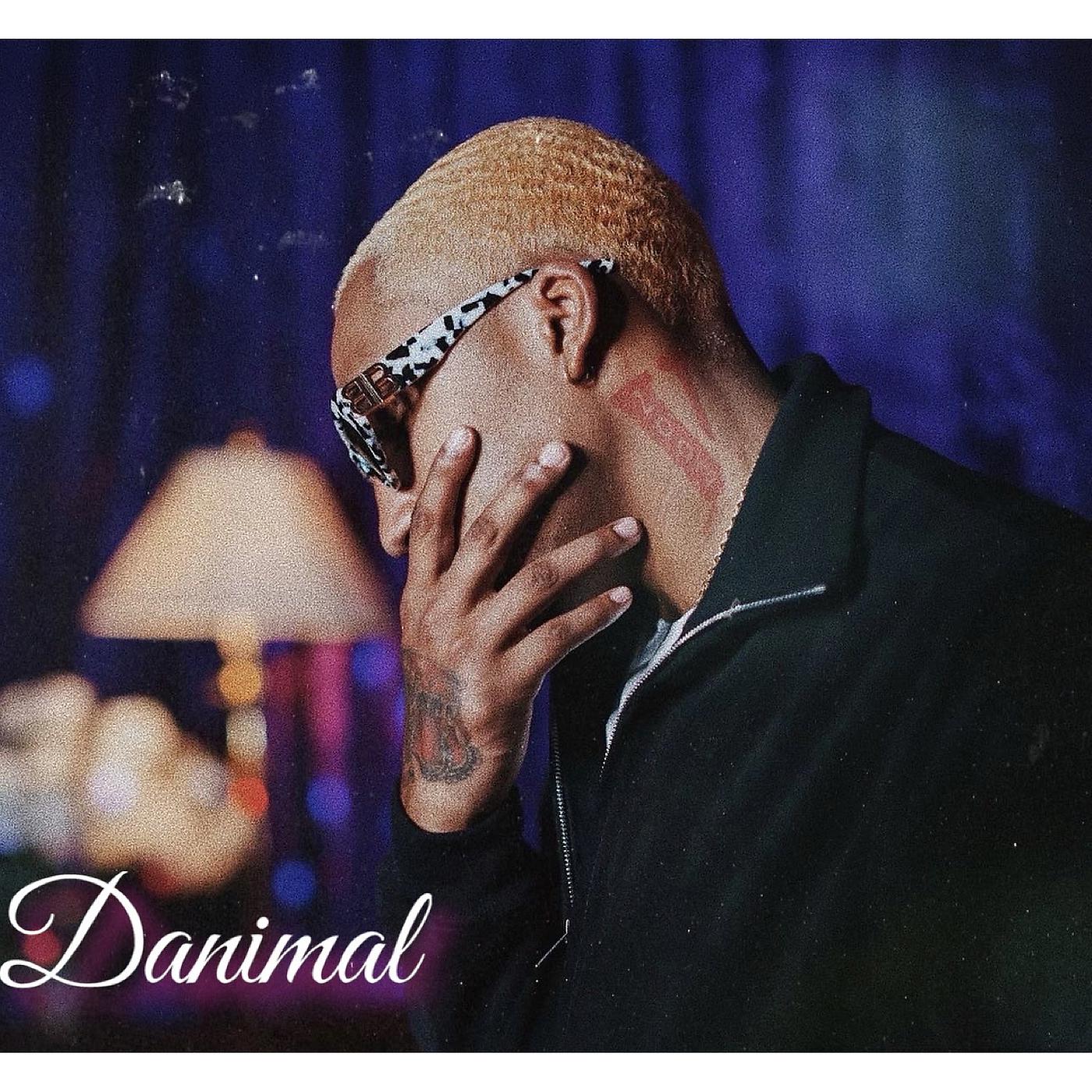 Постер альбома Danimal
