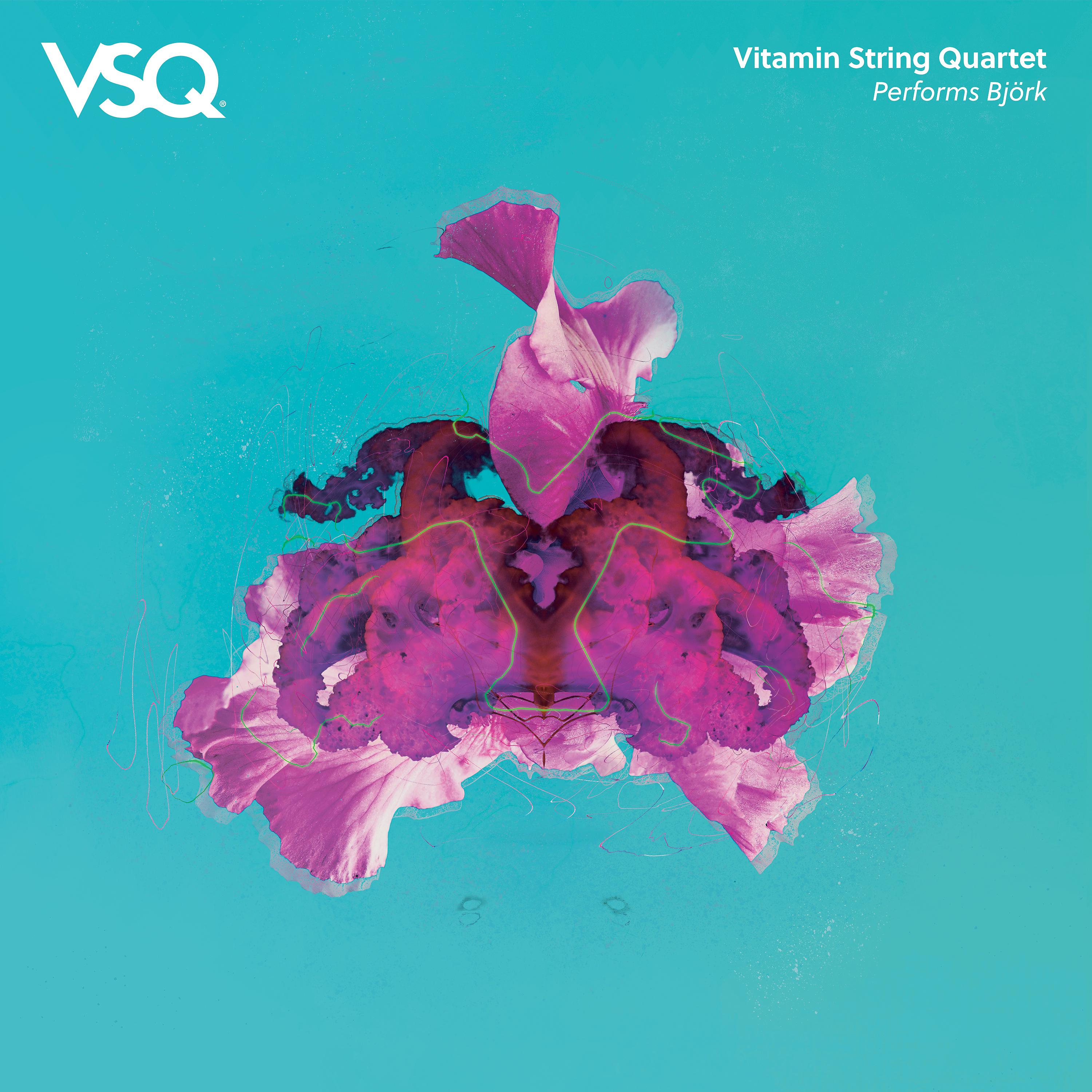 Постер альбома Vitamin String Quartet Performs Bjork