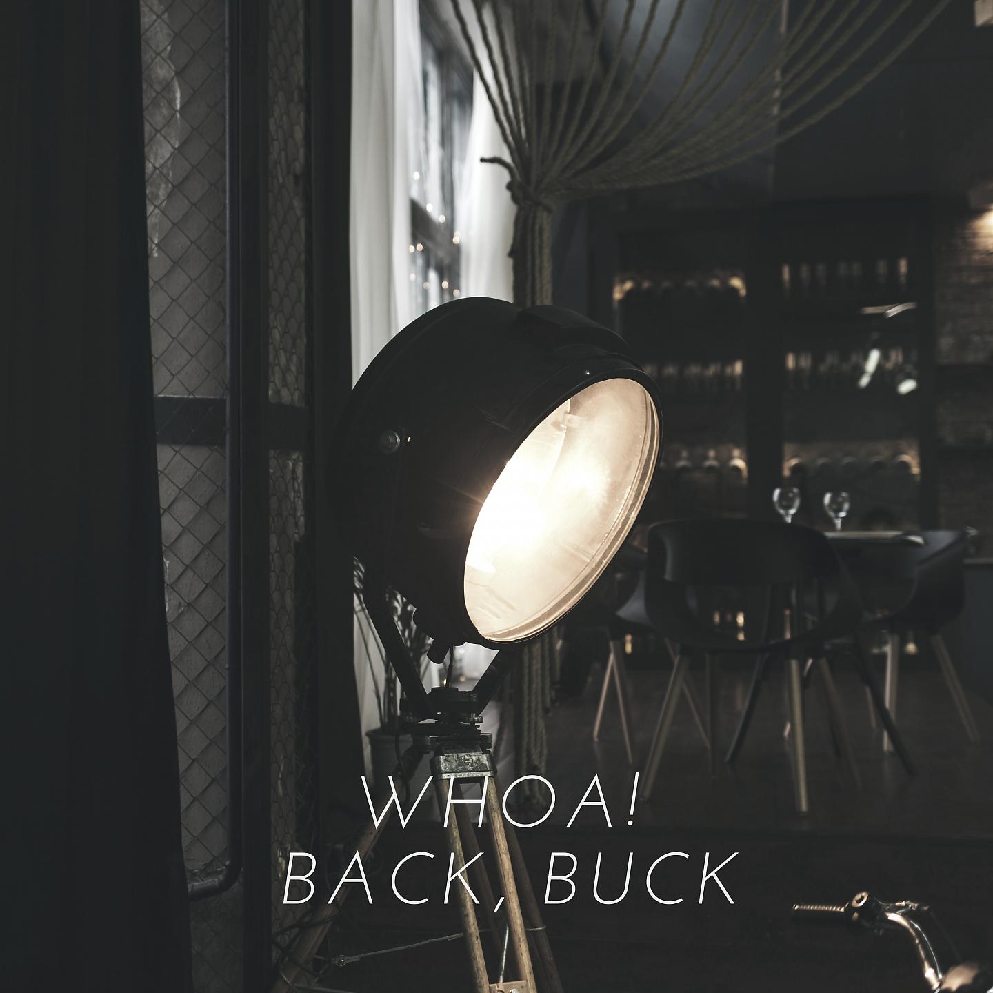 Постер альбома Whoa! Back, Buck