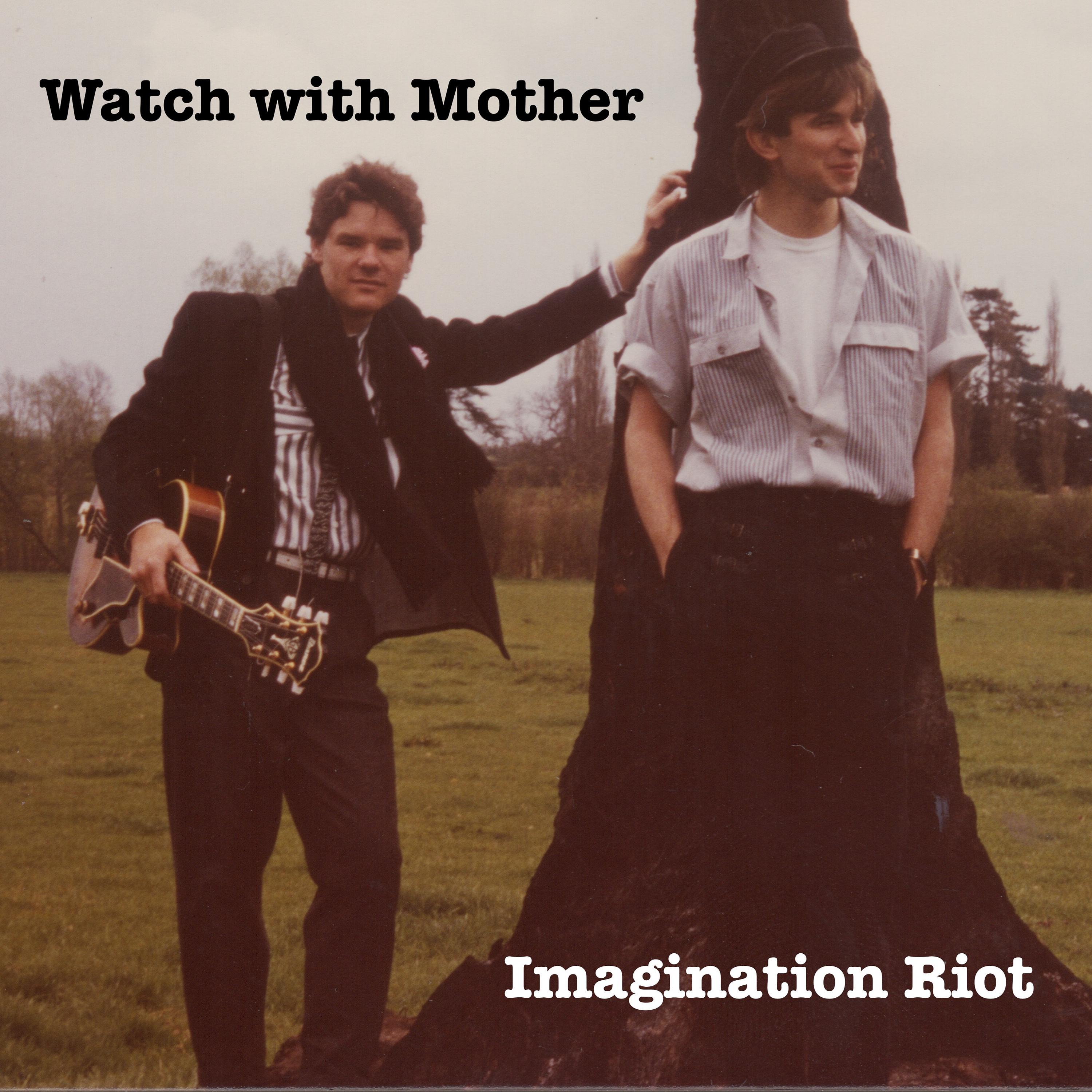 Постер альбома Imagination Riot