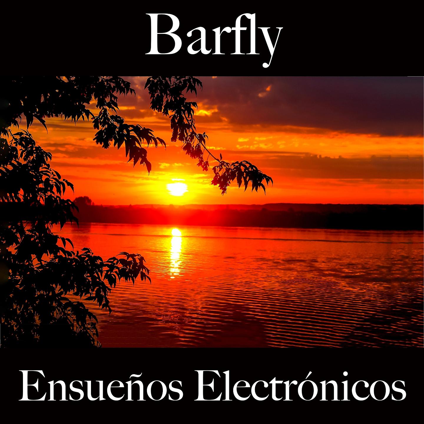 Постер альбома Barfly: Ensueños Electrónicos - Los Mejores Sonidos Para Descancarse