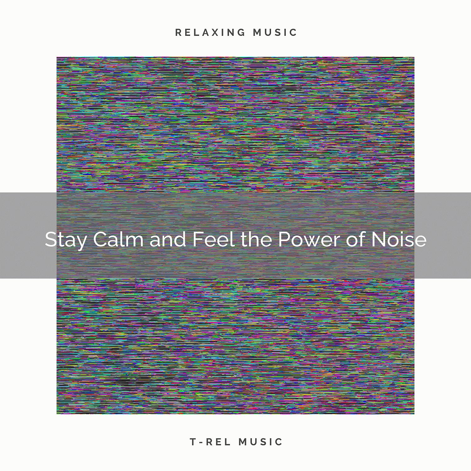 Постер альбома Stay Calm and Feel the Power of Noise