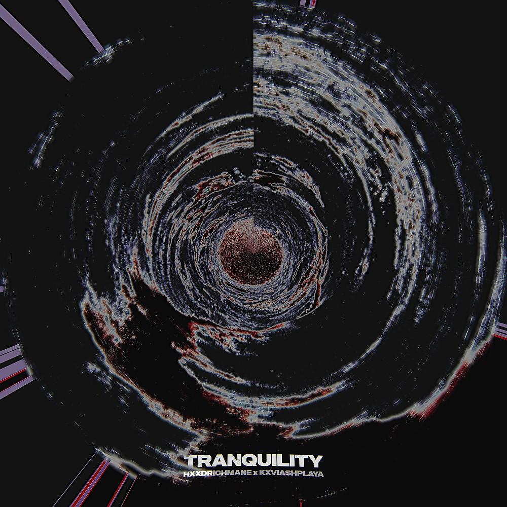 Постер альбома Tranquility (Instrumental)