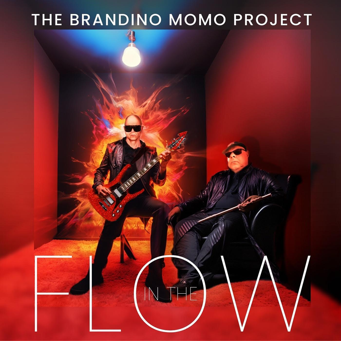 Постер альбома The Brandino Momo Project in the Flow