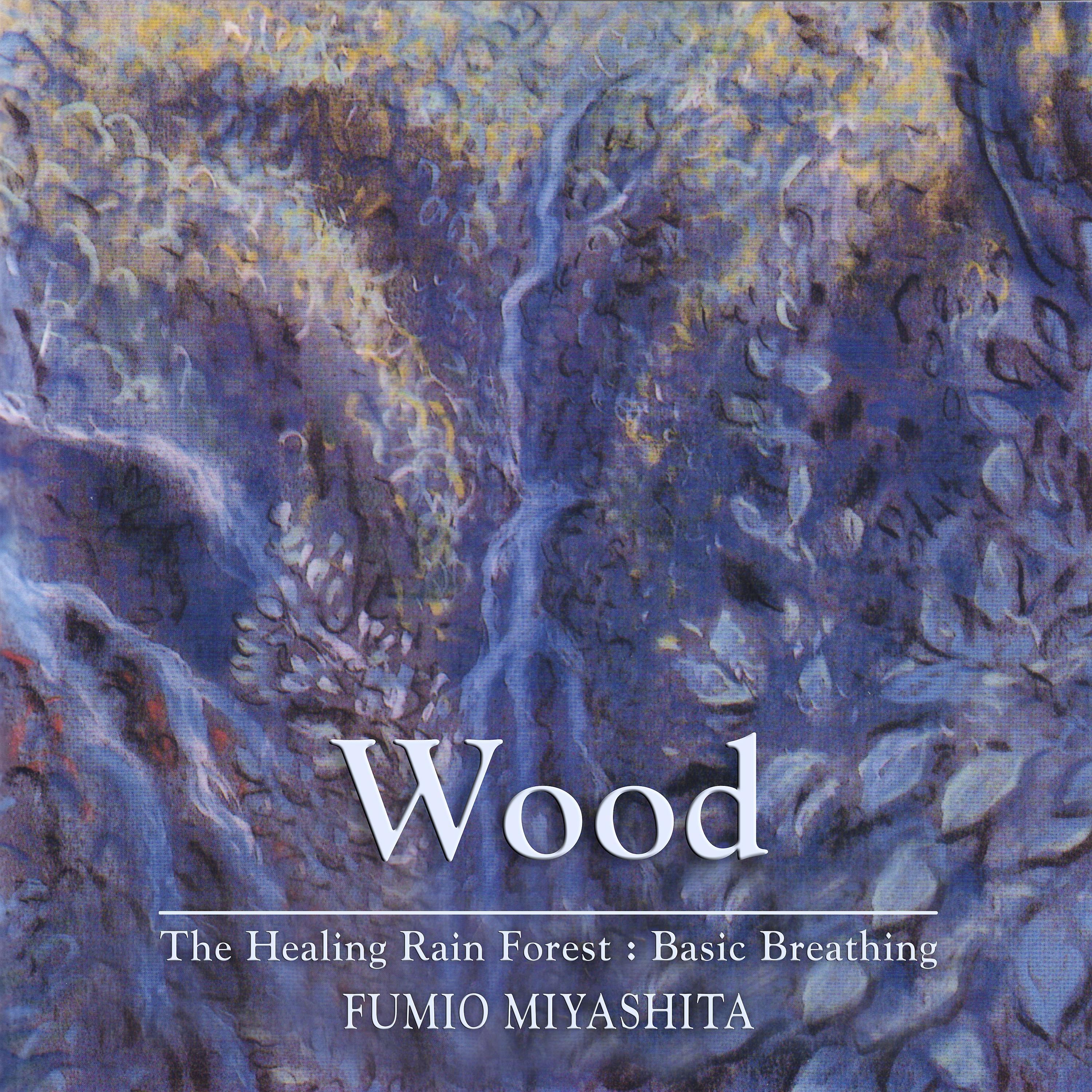 Постер альбома The Healing Rain Forest: Wood