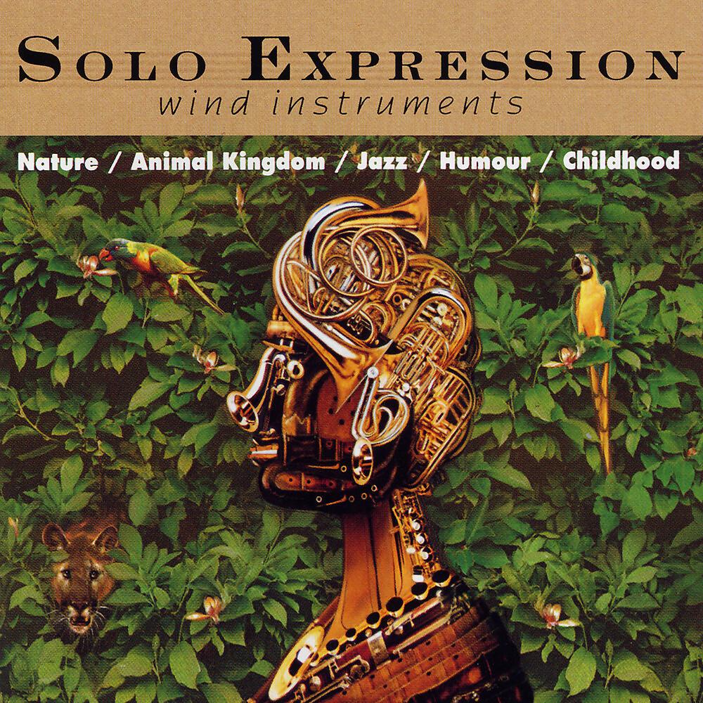 Постер альбома Solo Instruments