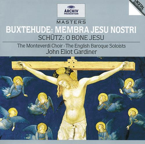 Постер альбома Buxtehude: Membra Jesu Nostri / Schutz: O bone Jesu