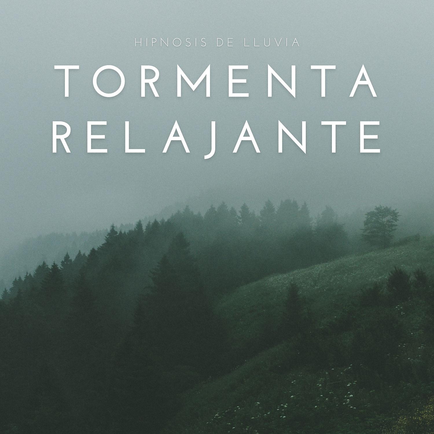 Постер альбома Tormenta Relajante: Hipnosis De Lluvia