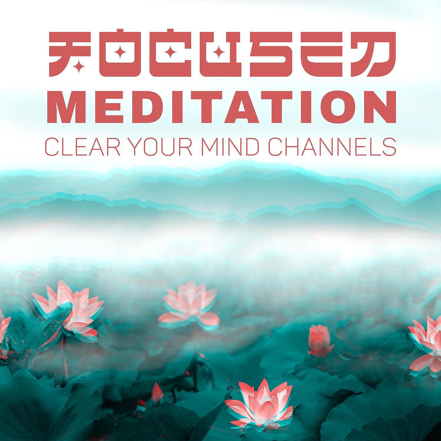 Постер альбома Focused Meditation - Clear Your Mind Channels: Breath & Relax, Positive Thoughts, Asian Zen Background Music