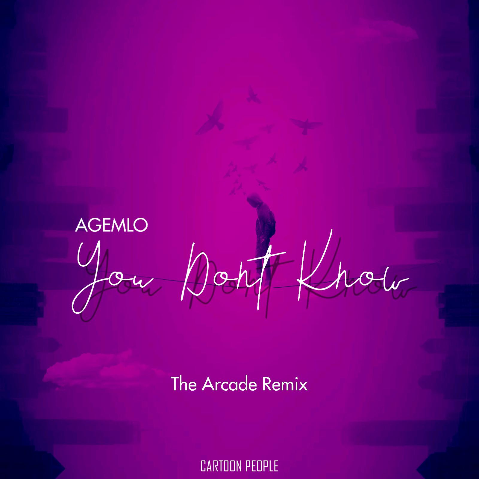 Постер альбома You Dont Know (The Arcade Remix)