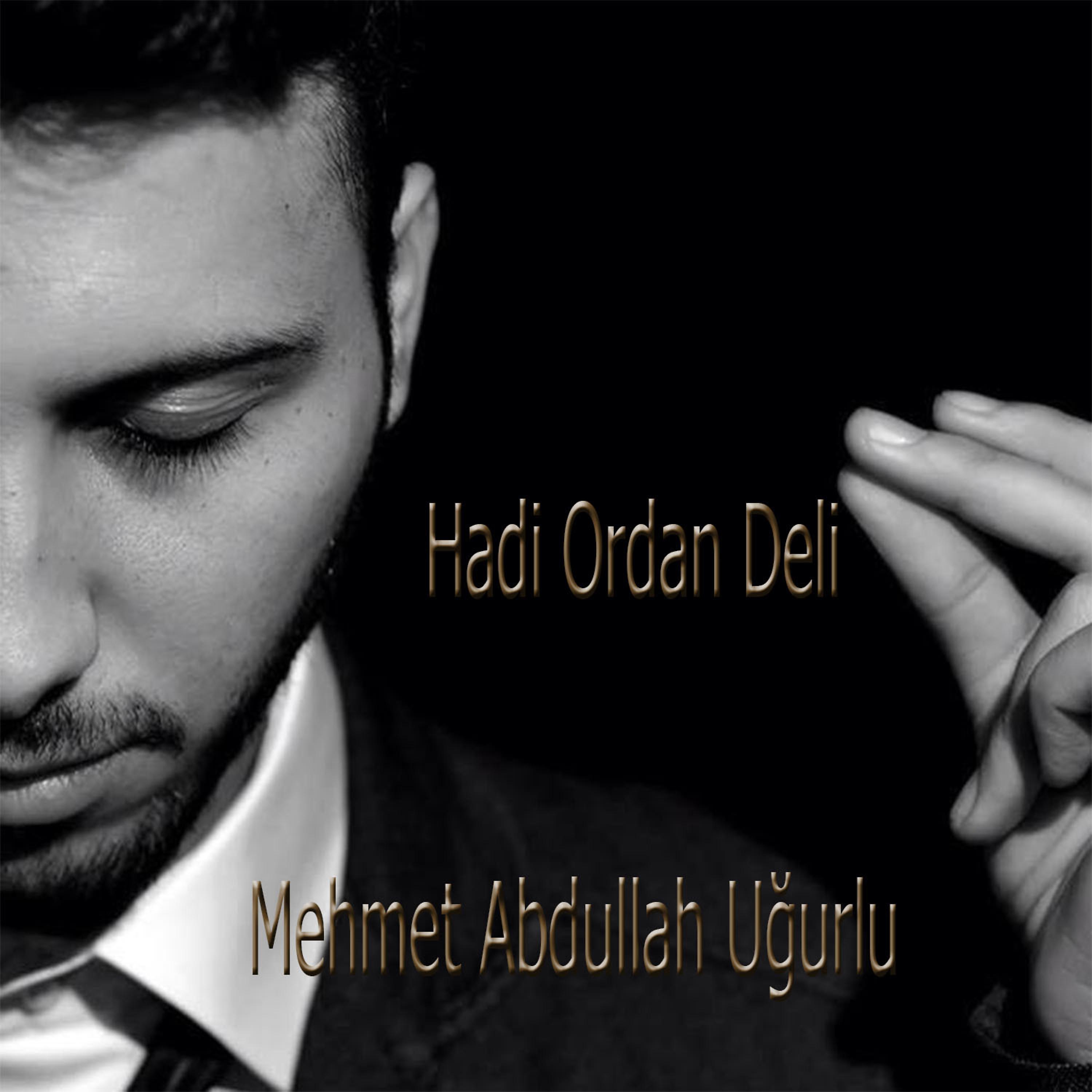 Постер альбома Hadi Ordan Deli