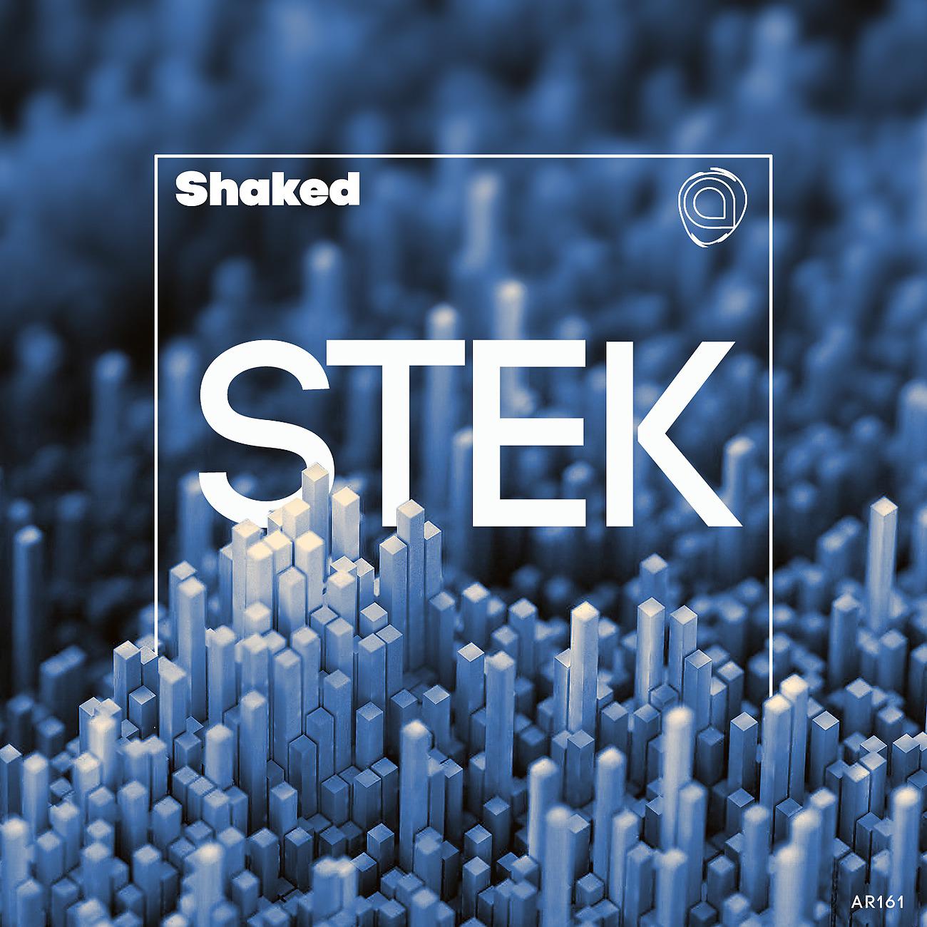 Постер альбома Stek