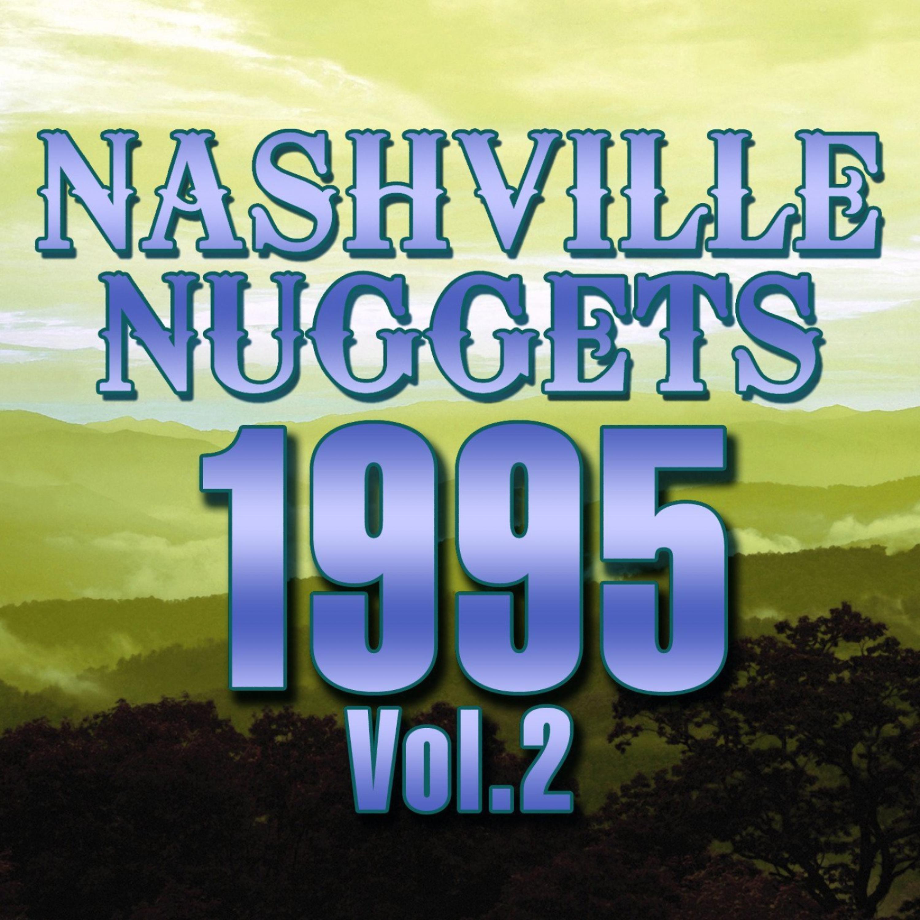Постер альбома Nashville nuggets 1995 Vol.2