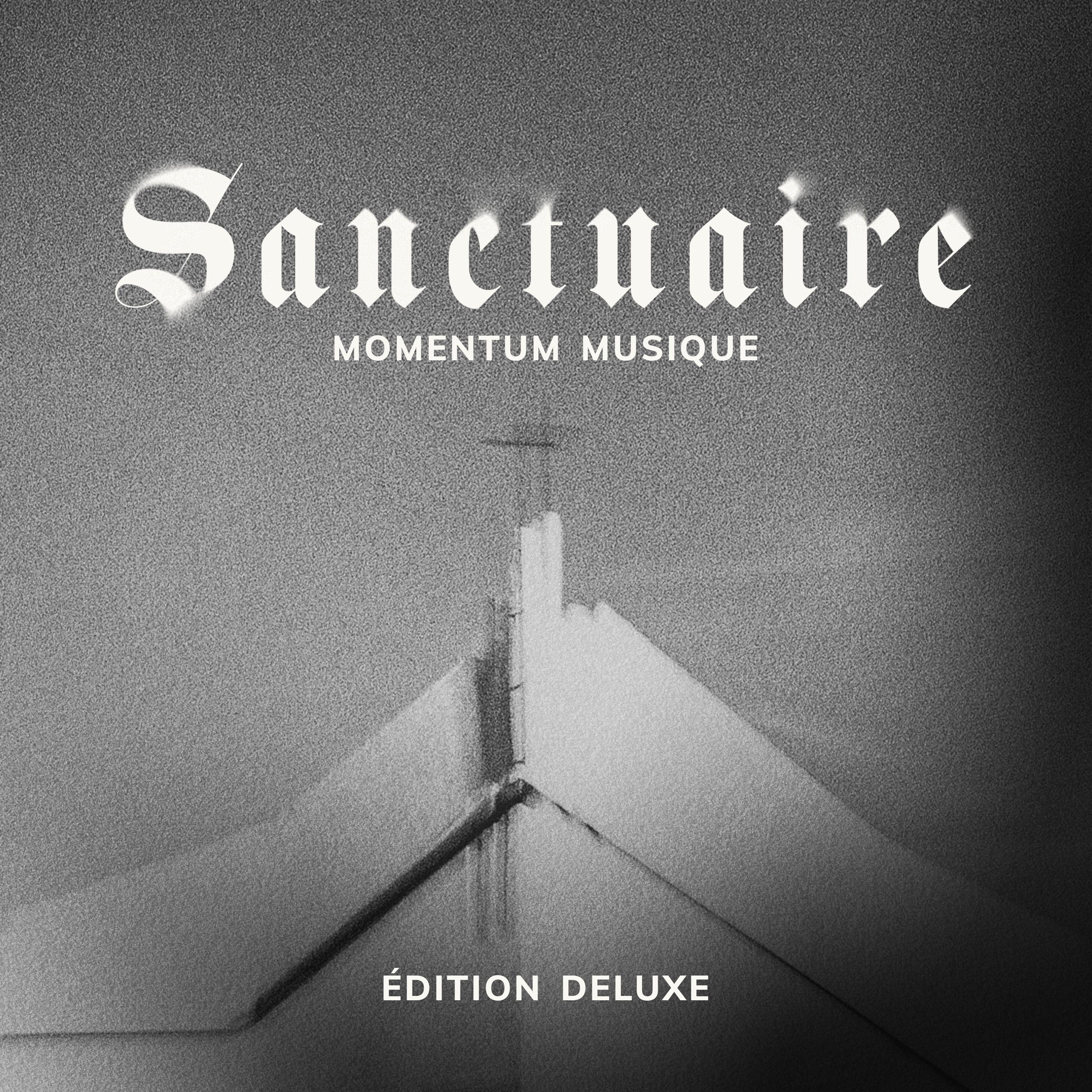 Постер альбома Sanctuaire