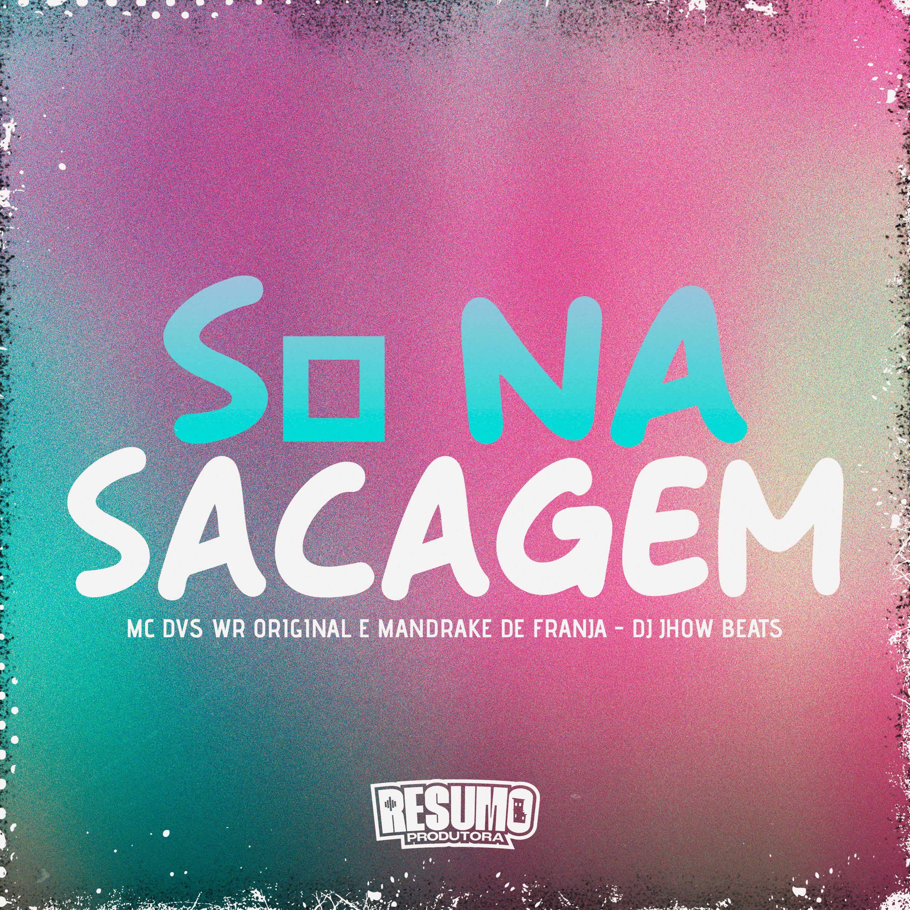 Постер альбома Só na Sacanagem