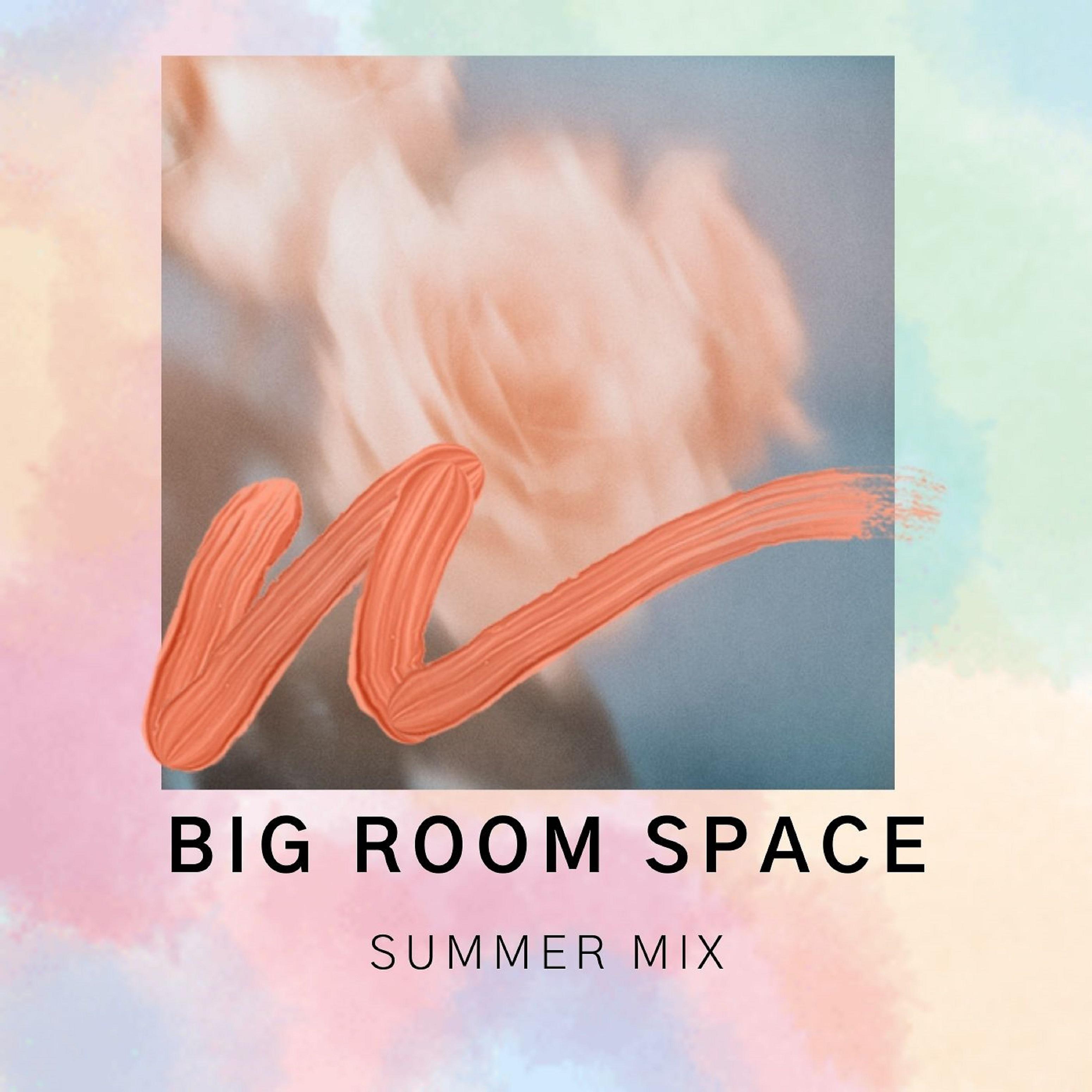 Постер альбома Summer Mix
