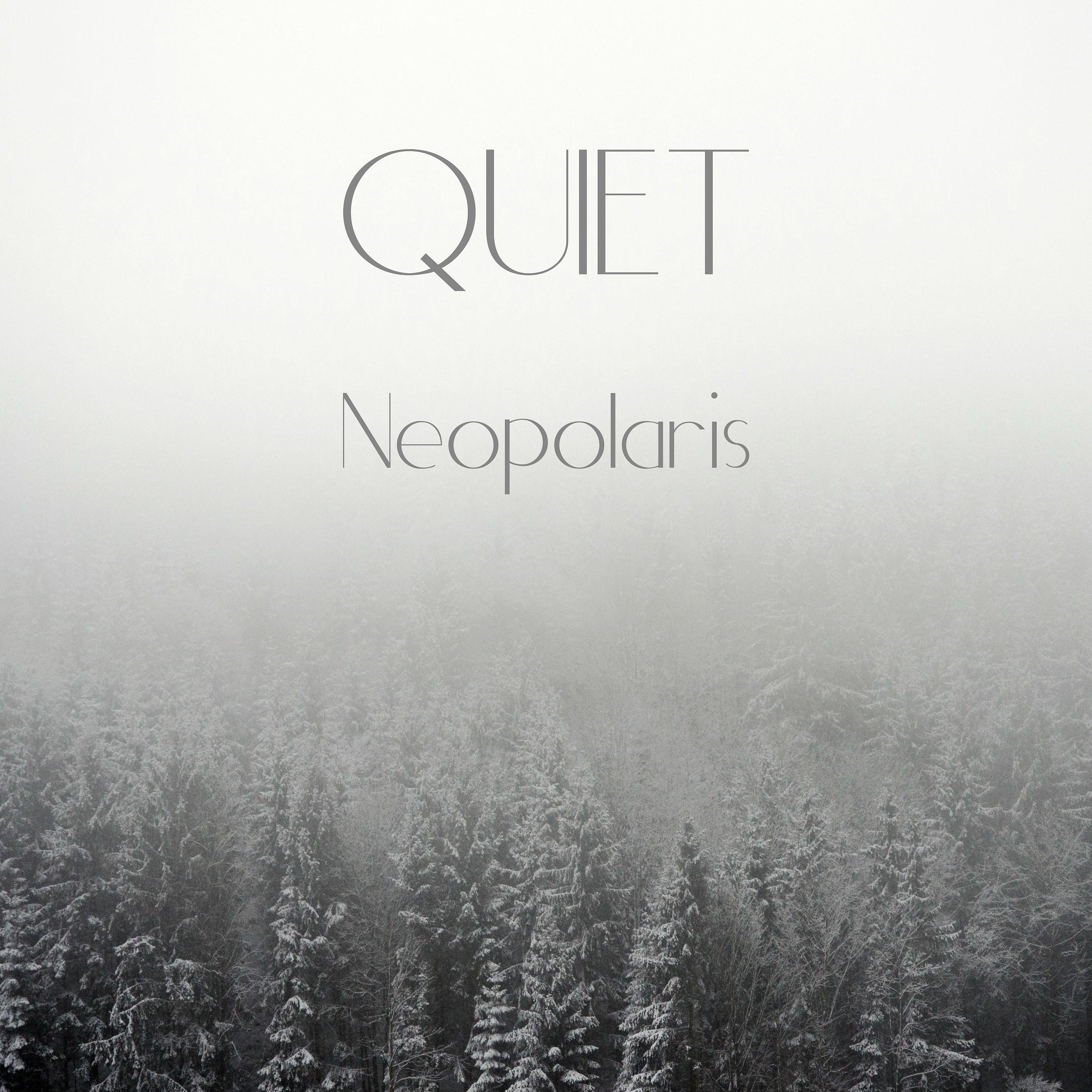 Постер альбома Neopolaris