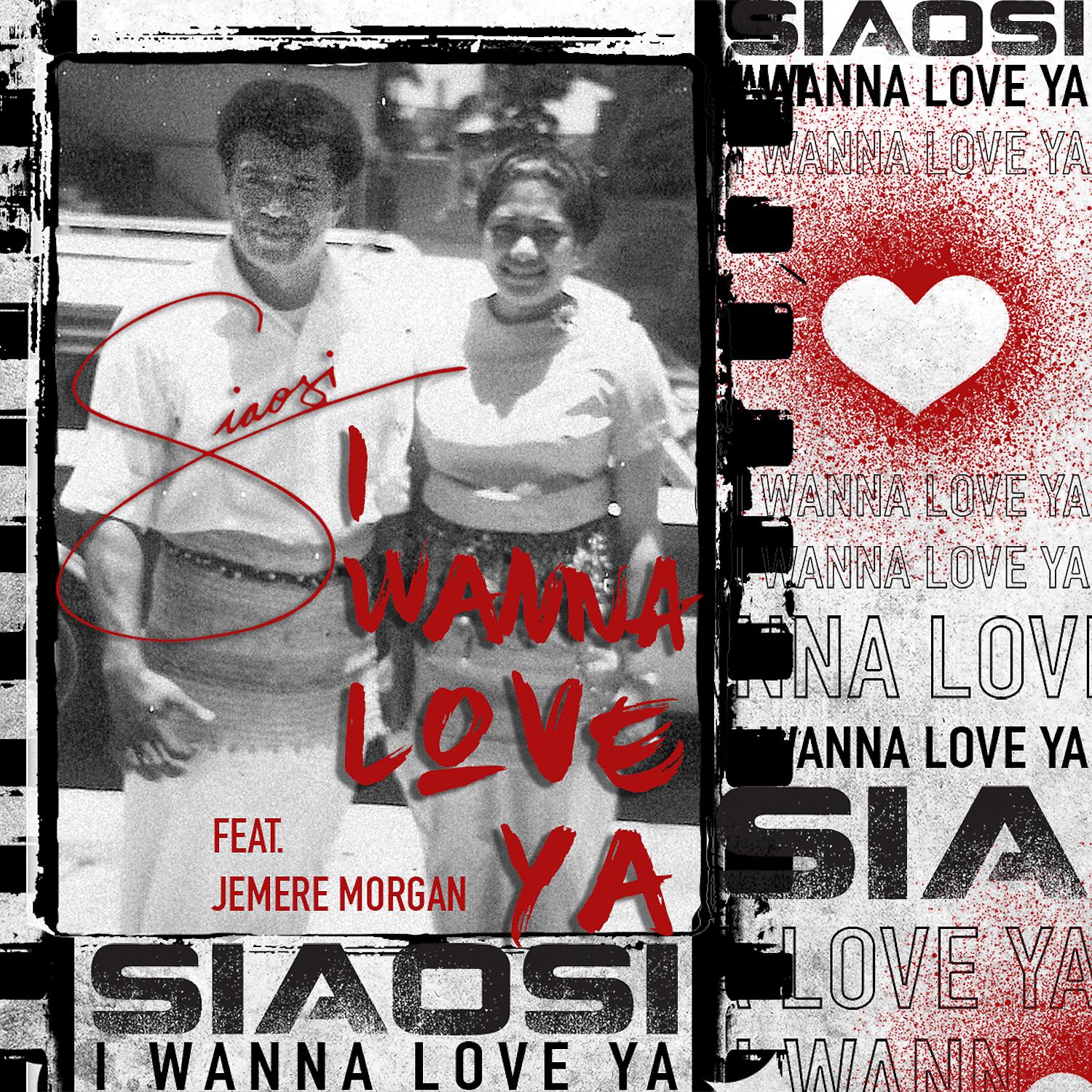 Постер альбома I Wanna Love Ya (feat. Jemere Morgan)