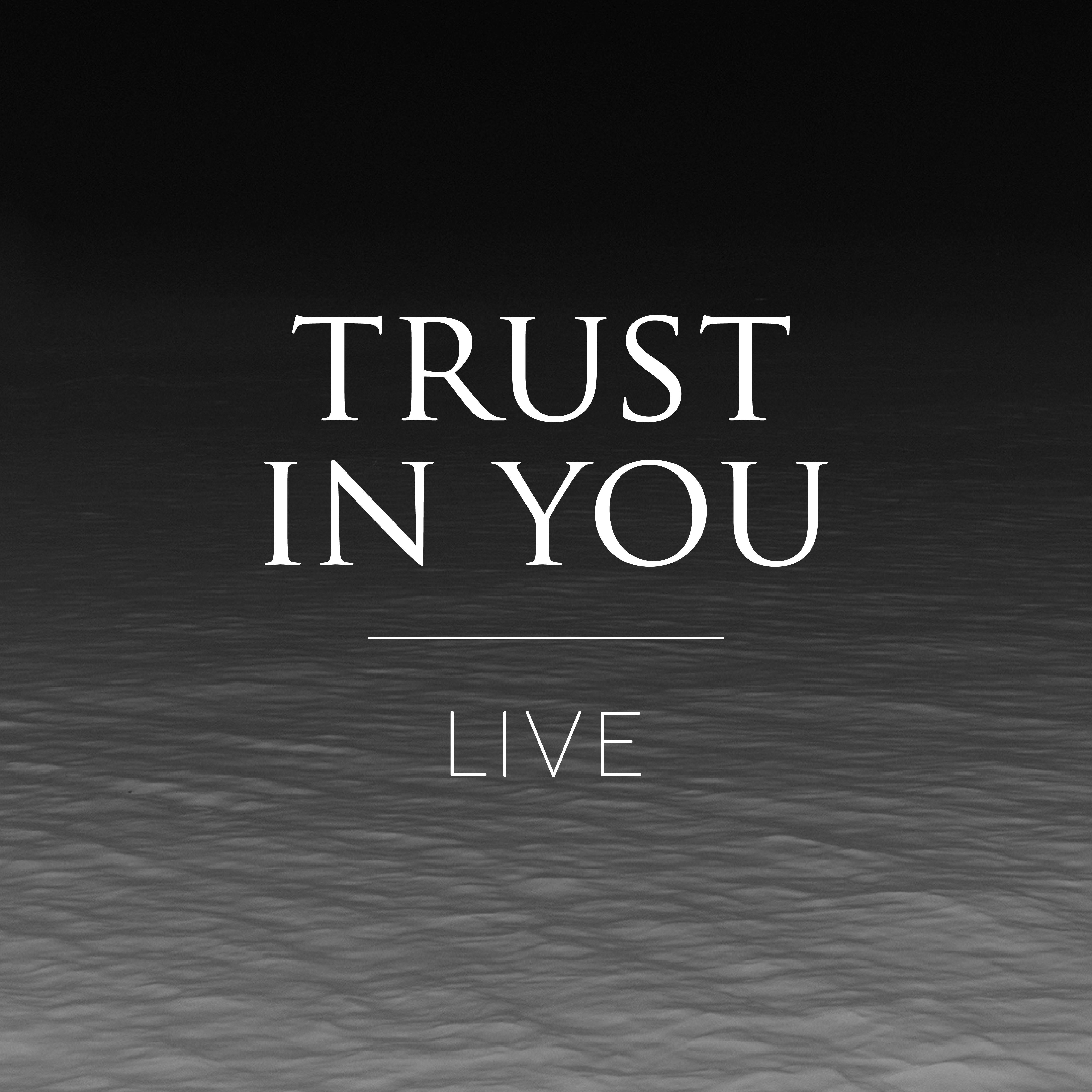 Постер альбома Trust In You