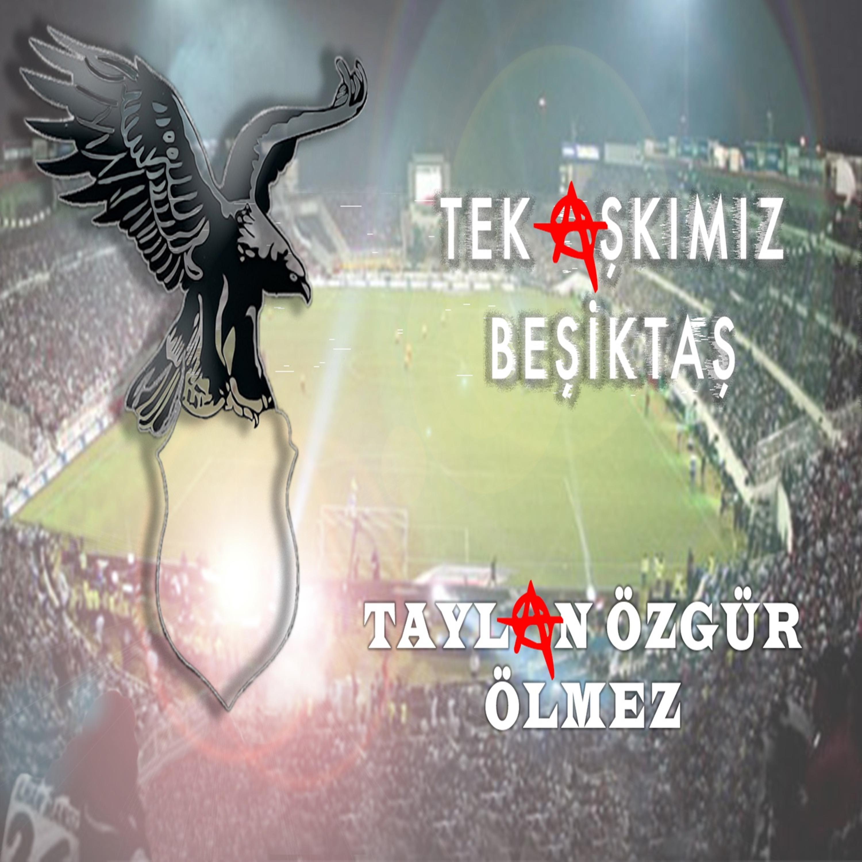 Постер альбома Tek Aşkımız Beşiktaş