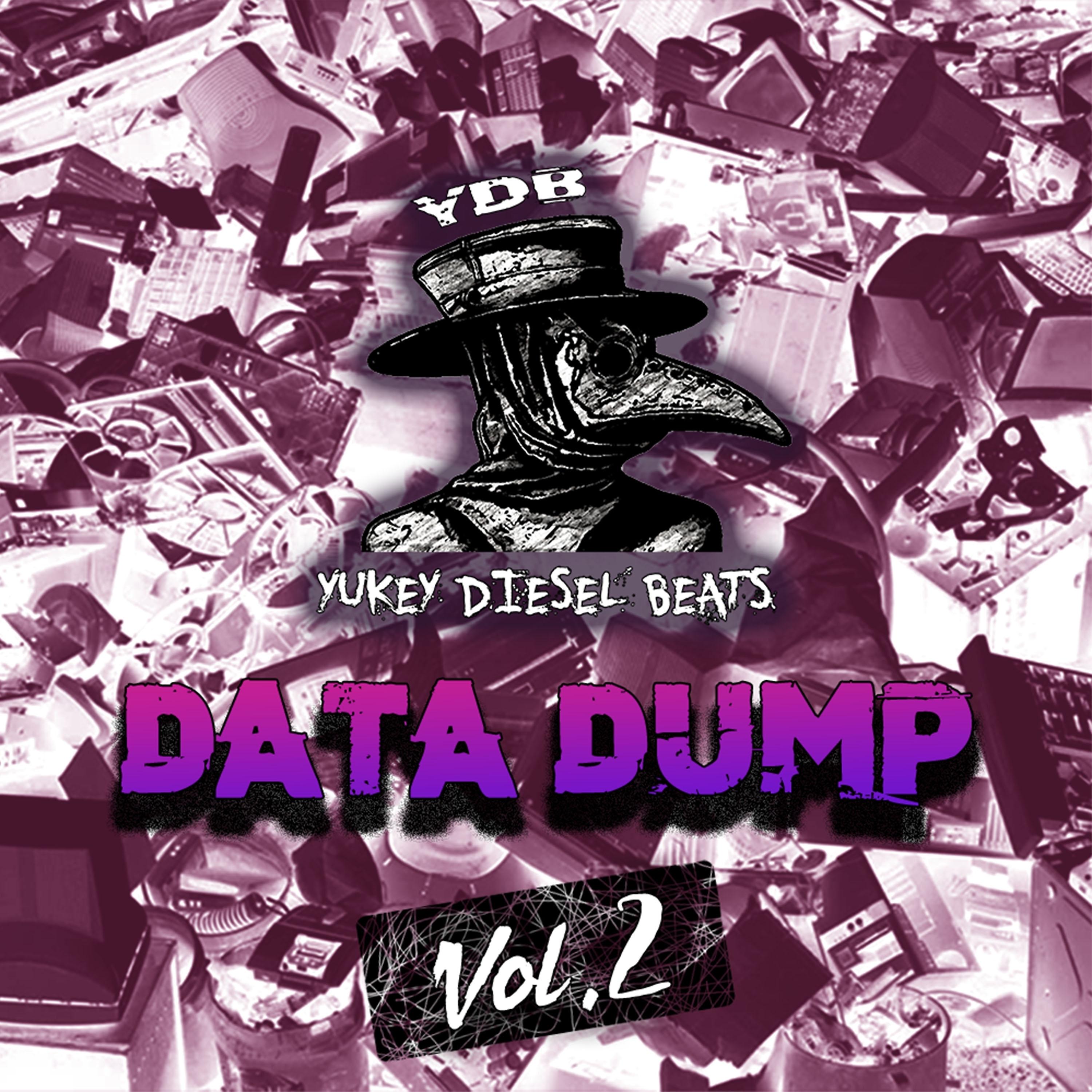 Постер альбома Data Dump, Vol. 2