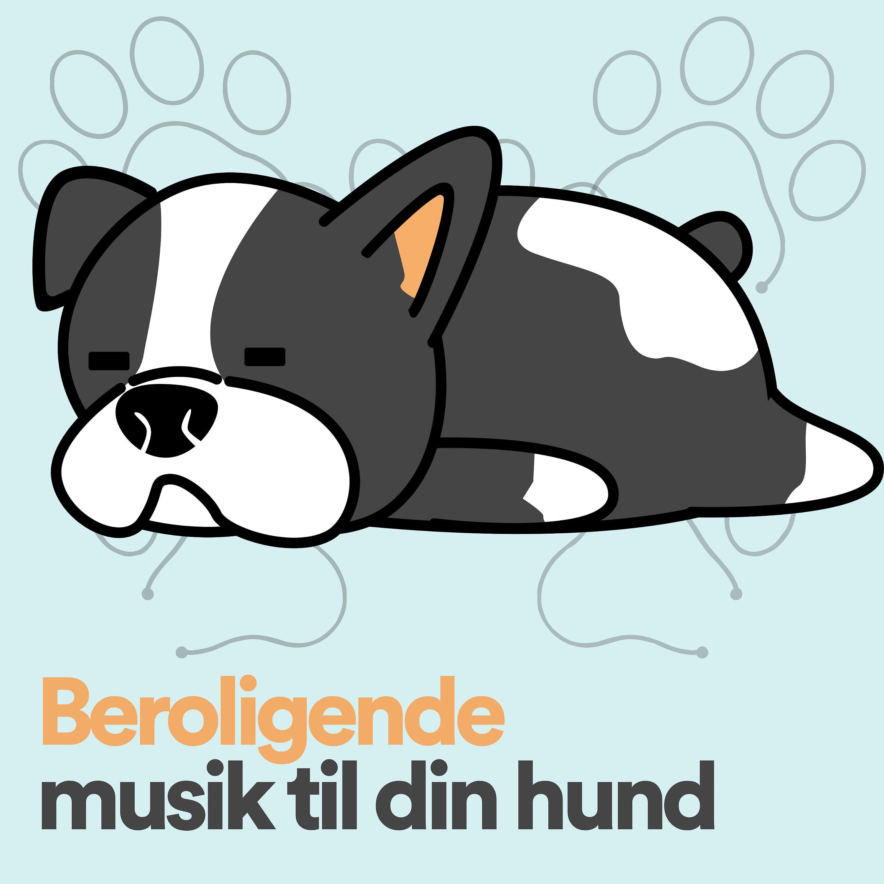 Постер альбома Beroligende musik til din hund