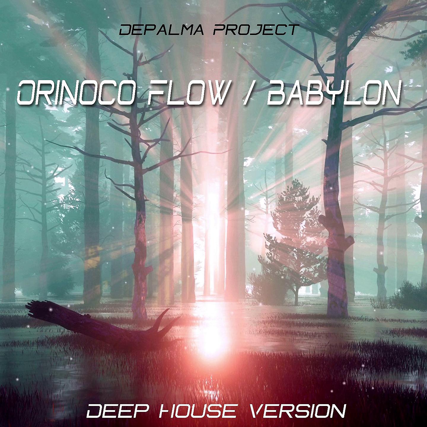 Постер альбома Orinoco Flow / Babylon