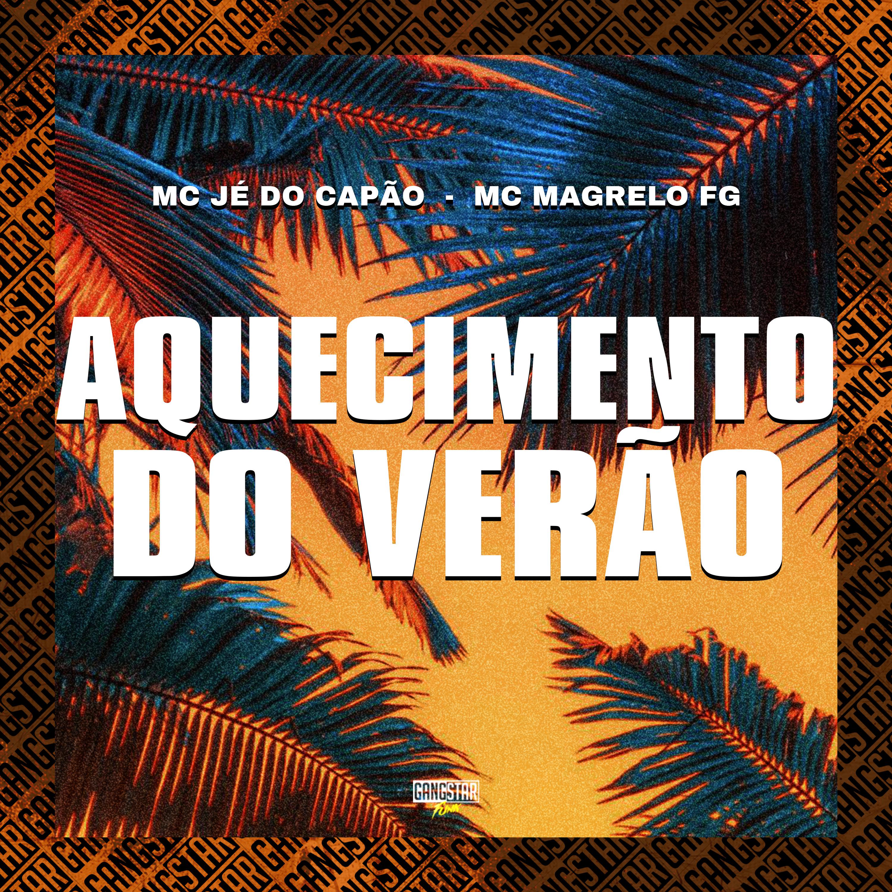 Постер альбома Aquecimento do Verão